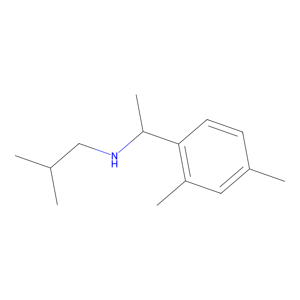 [1-(2,4-Dimethylphenyl)ethyl](2-methylpropyl)amine molecular structure, CAS 1019629-18-5