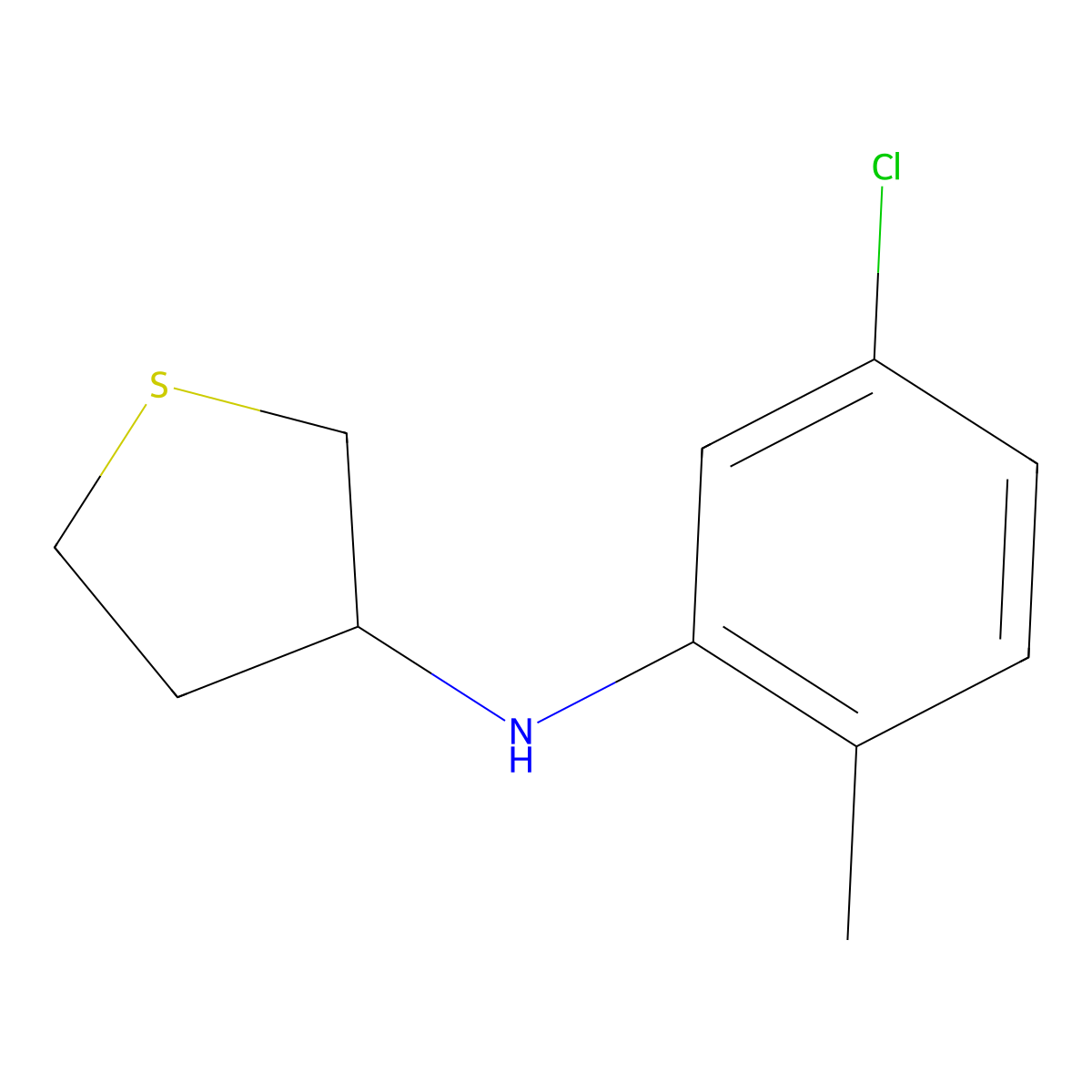 N-(5-chloro-2-methylphenyl)thiolan-3-amine molecular structure, CAS 1019631-17-4