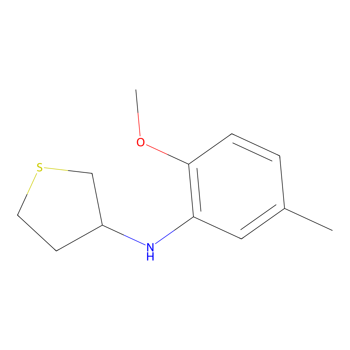 N-(2-methoxy-5-methylphenyl)thiolan-3-amine molecular structure, CAS 1019632-82-6