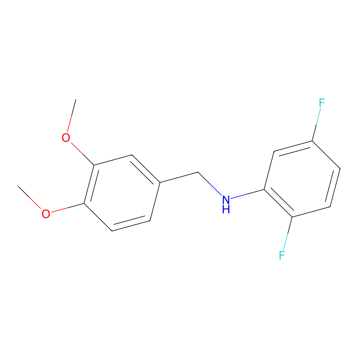 N-[(3,4-dimethoxyphenyl)methyl]-2,5-difluoroaniline molecular structure, CAS 1019635-09-6
