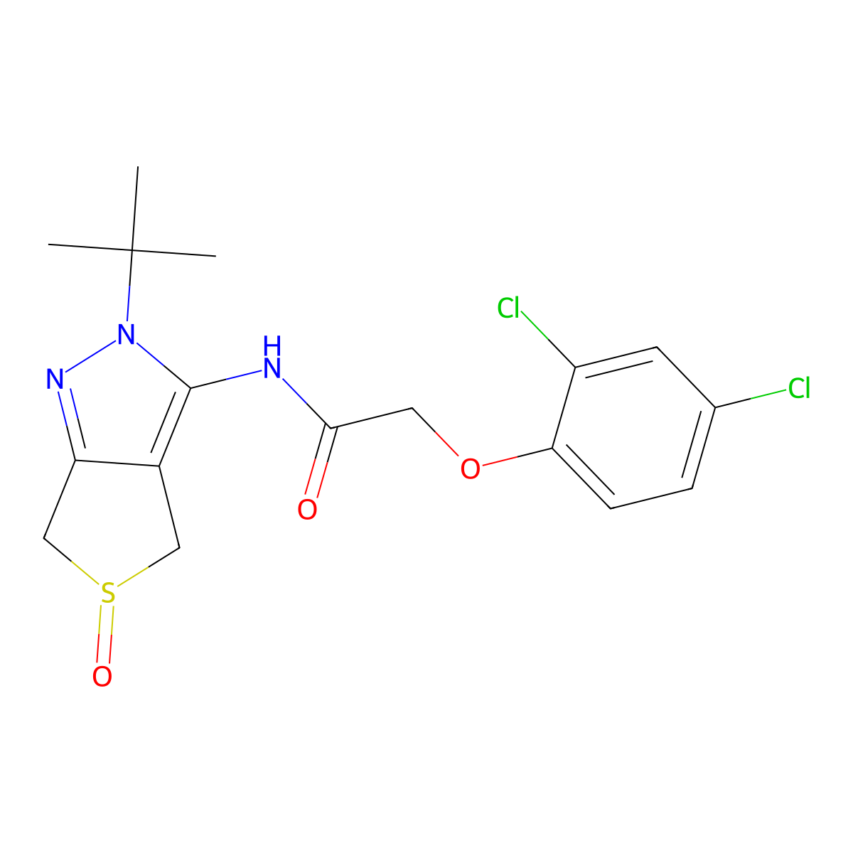 N-(2-(tert-butyl)-5-oxido-4,6-dihydro-2H-thieno[3,4-c]pyrazol-3-yl)-2-(2,4-dichlorophenoxy)acetamide molecular structure, CAS 1020246-09-6