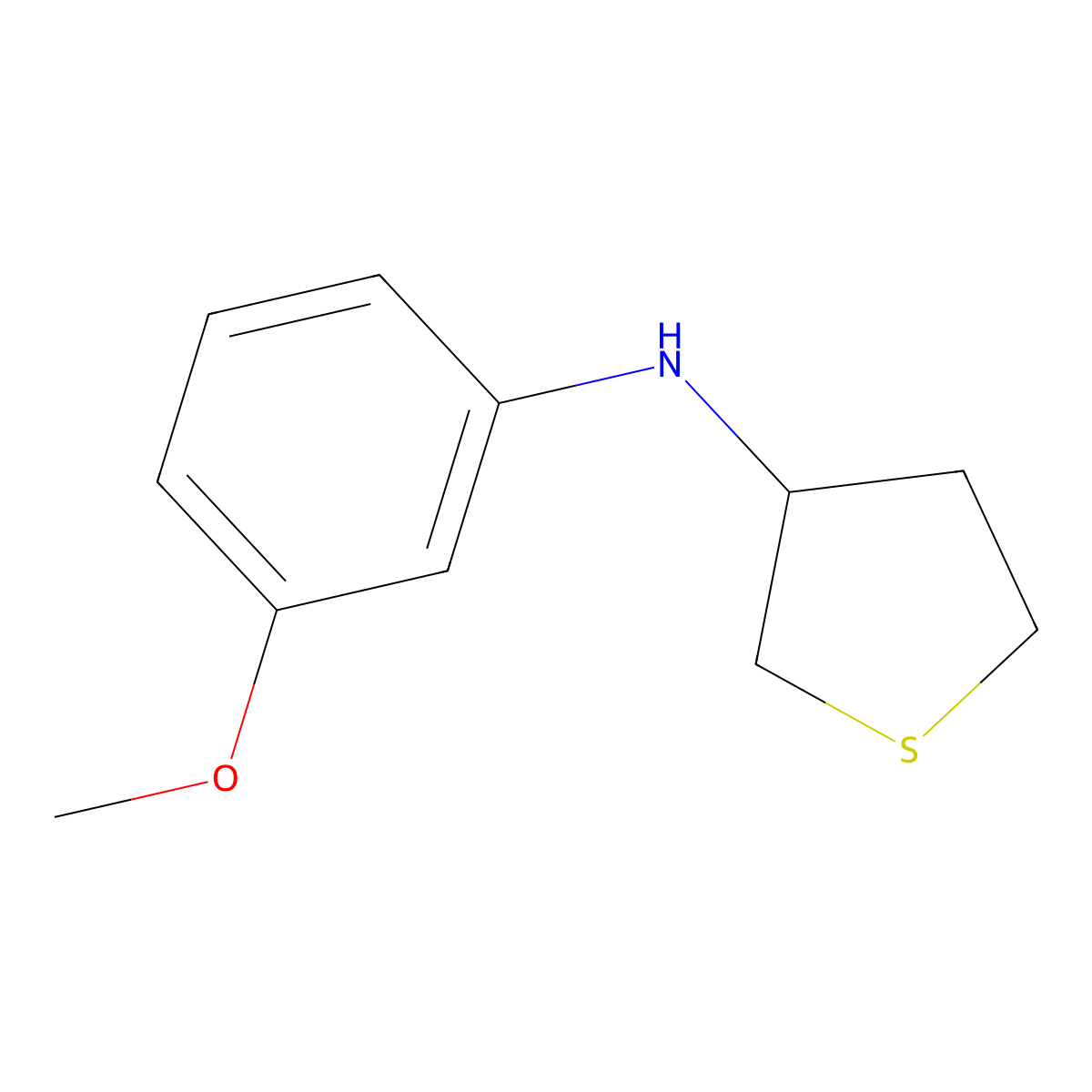 N-(3-methoxyphenyl)thiolan-3-amine molecular structure, CAS 1020937-15-8