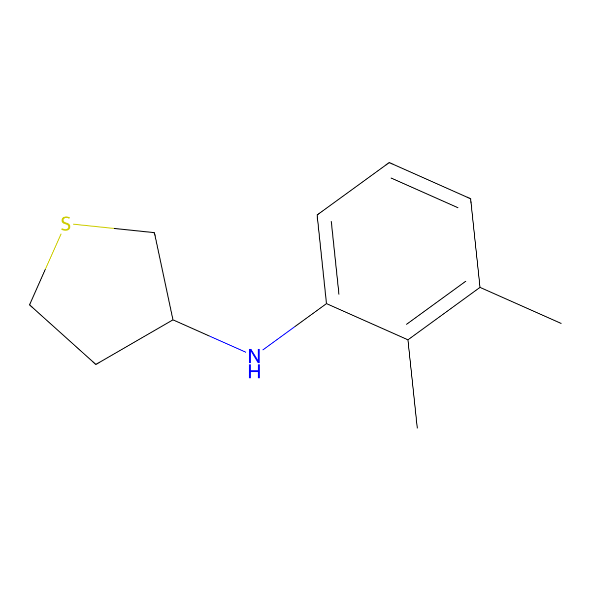 N-(2,3-dimethylphenyl)thiolan-3-amine molecular structure, CAS 1020940-19-5