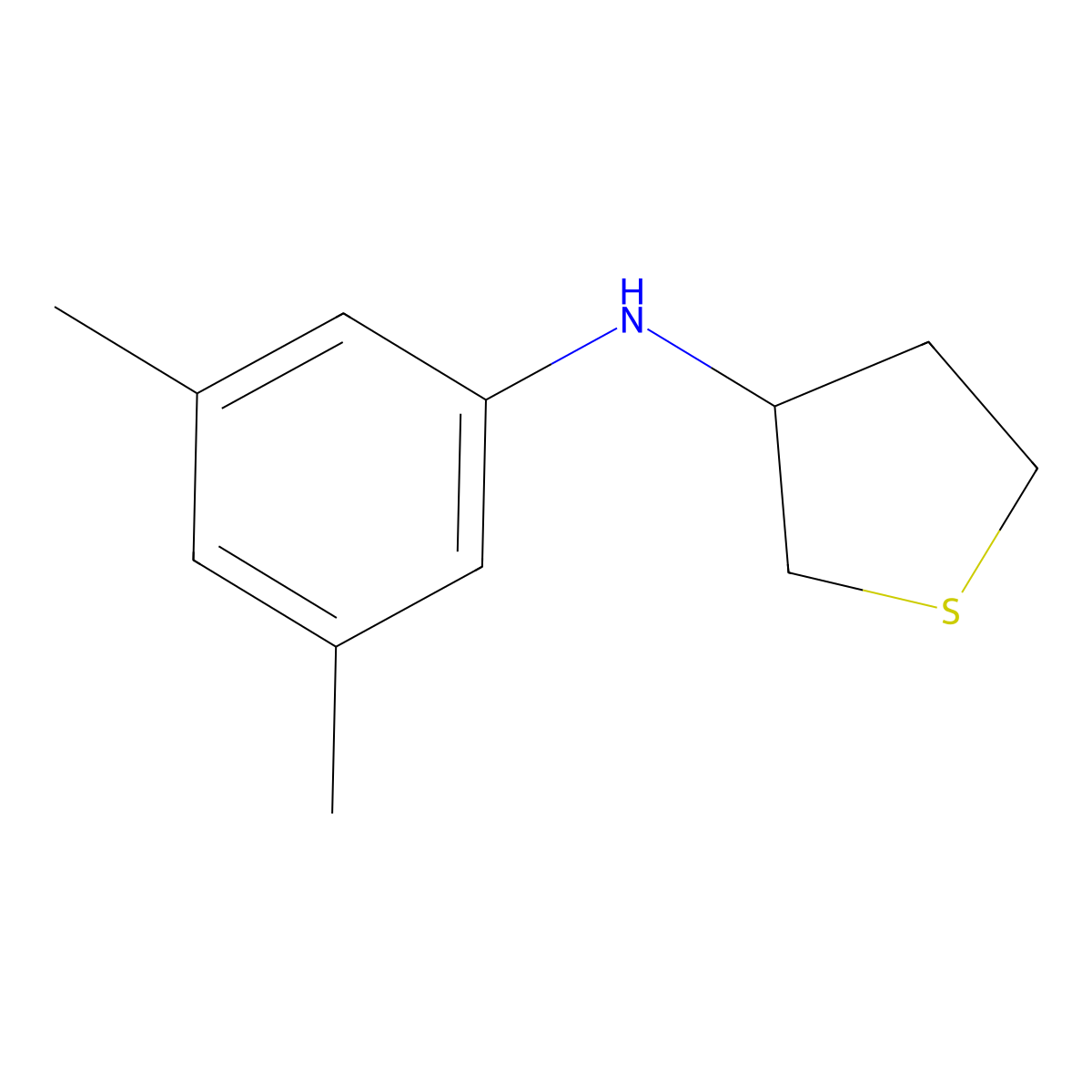 N-(3,5-dimethylphenyl)thiolan-3-amine molecular structure, CAS 1020955-41-2
