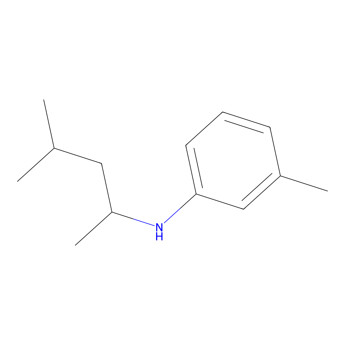 3-methyl-N-(4-methylpentan-2-yl)aniline molecular structure, CAS 1021025-43-3