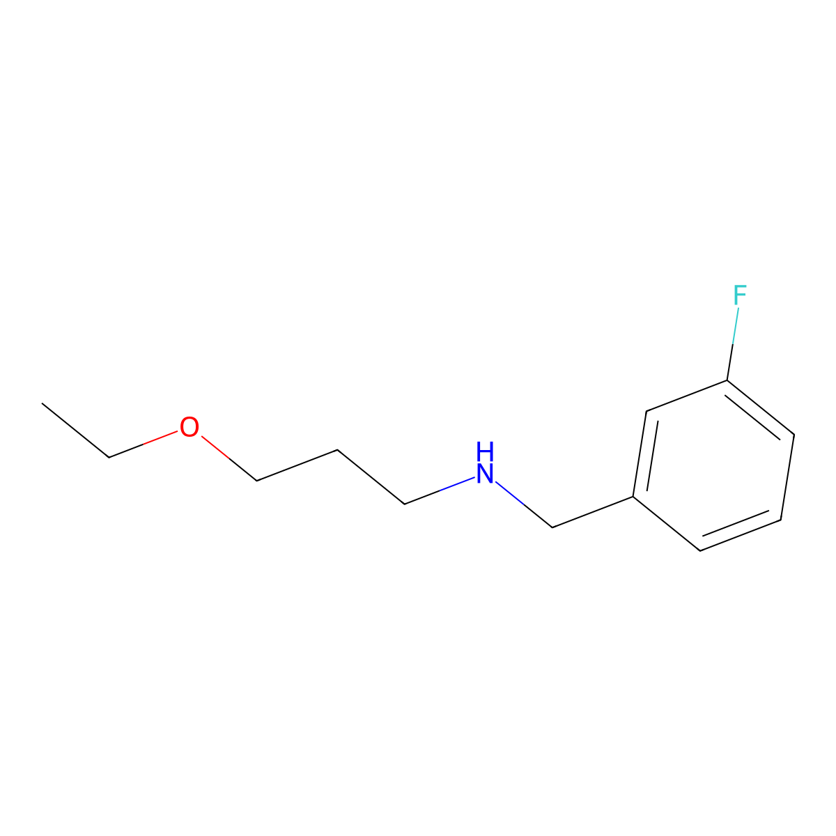 (3-Ethoxypropyl)[(3-fluorophenyl)methyl]amine molecular structure, CAS 1021033-90-8