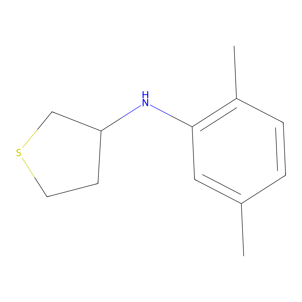 N-(2,5-dimethylphenyl)thiolan-3-amine molecular structure, CAS 1021038-11-8