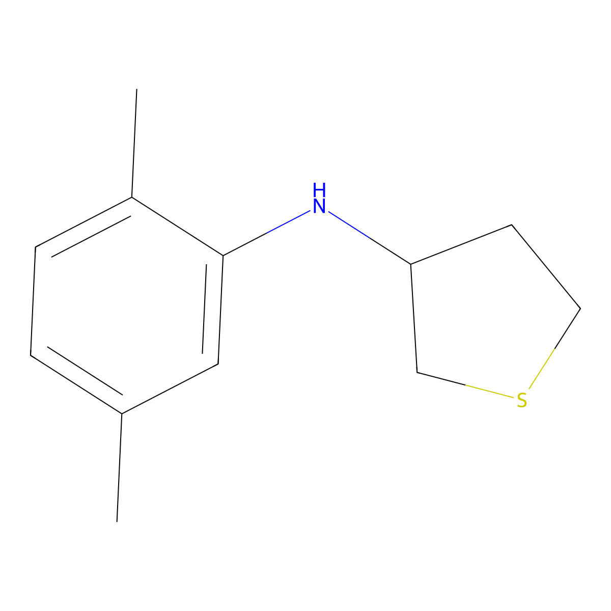 N-(2,5-dimethylphenyl)thiolan-3-amine molecular structure, CAS 1021038-11-8