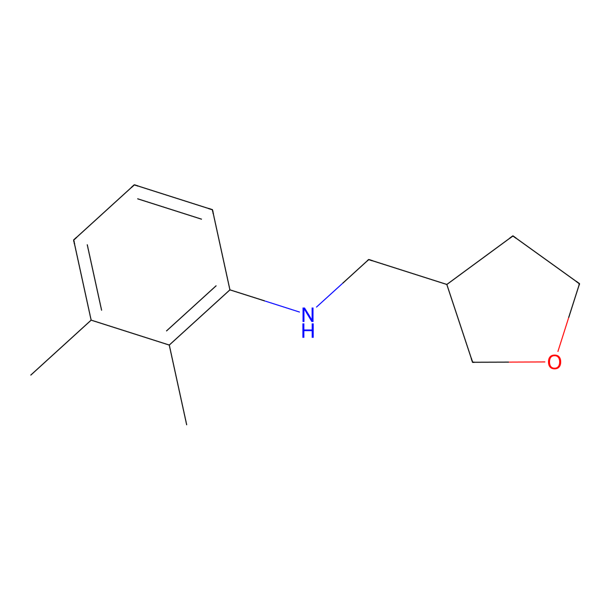2,3-dimethyl-N-[(oxolan-3-yl)methyl]aniline molecular structure, CAS 1021054-21-6