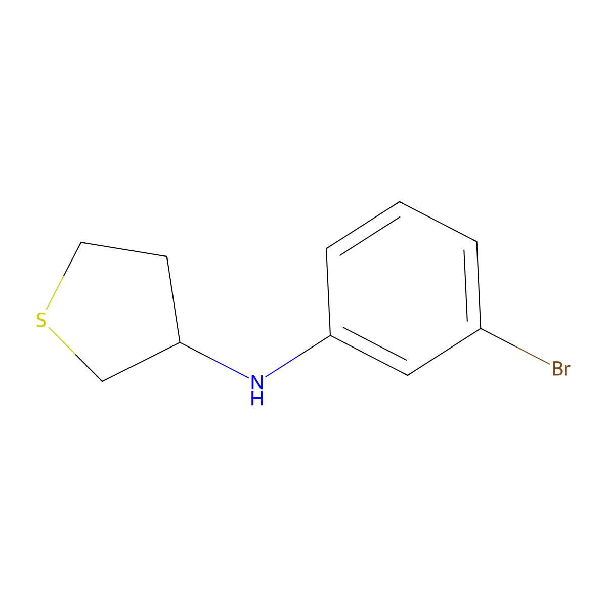 N-(3-bromophenyl)thiolan-3-amine molecular structure, CAS 1021075-97-7