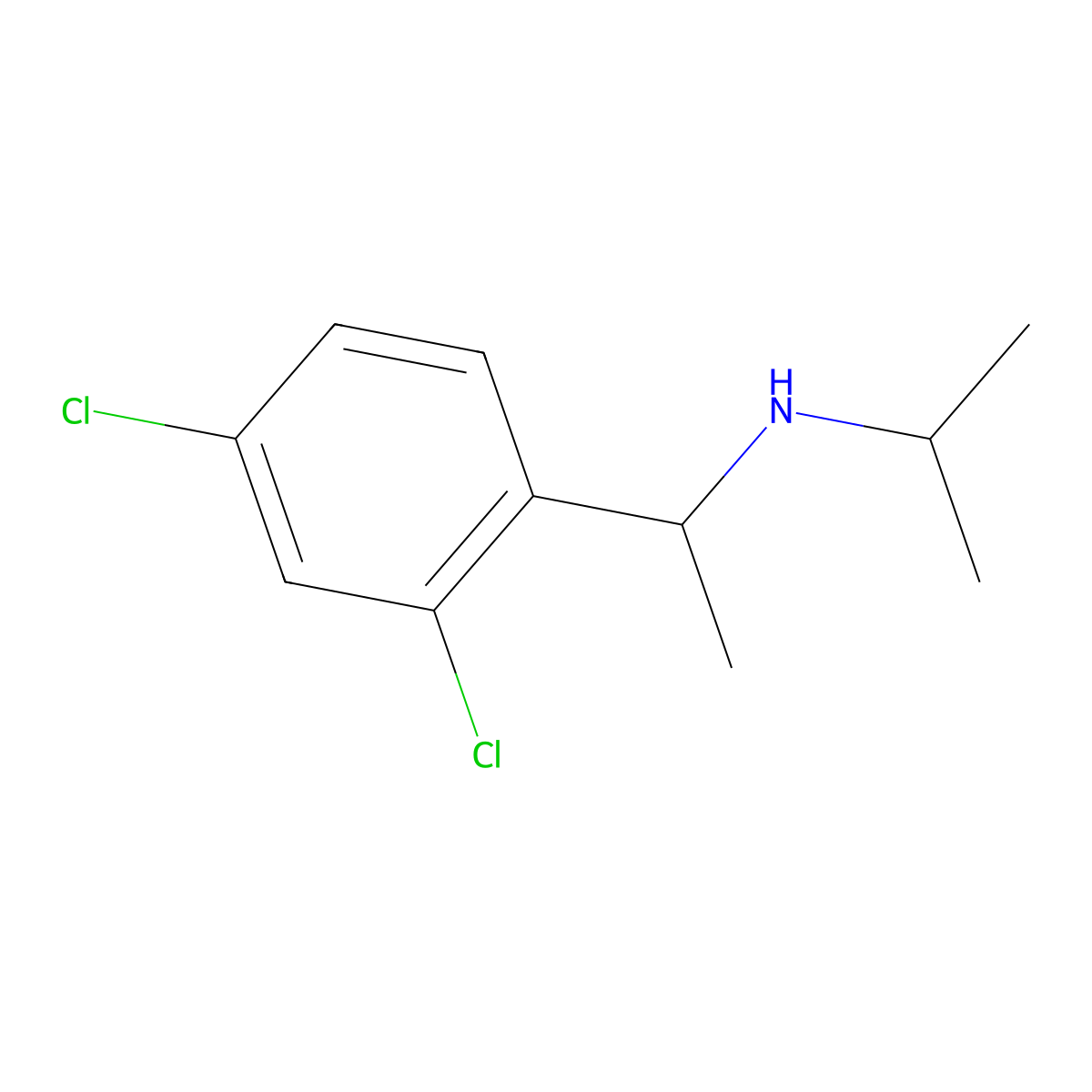 [1-(2,4-Dichlorophenyl)ethyl](propan-2-yl)amine molecular structure, CAS 1021077-04-2