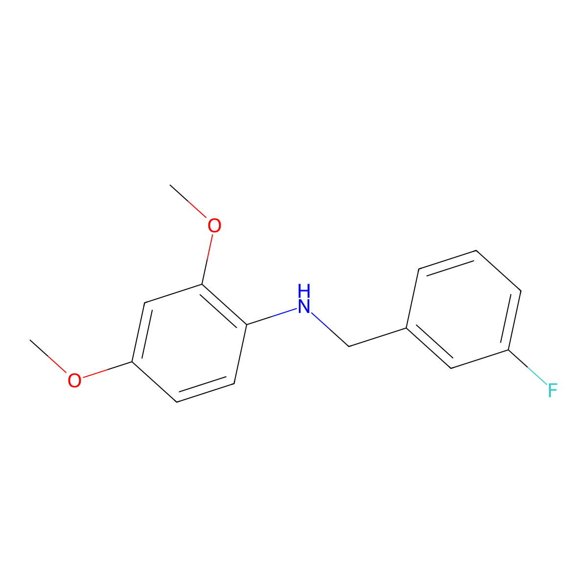 N-(3-Fluorobenzyl)-2,4-dimethoxyaniline molecular structure, CAS 1021092-55-6