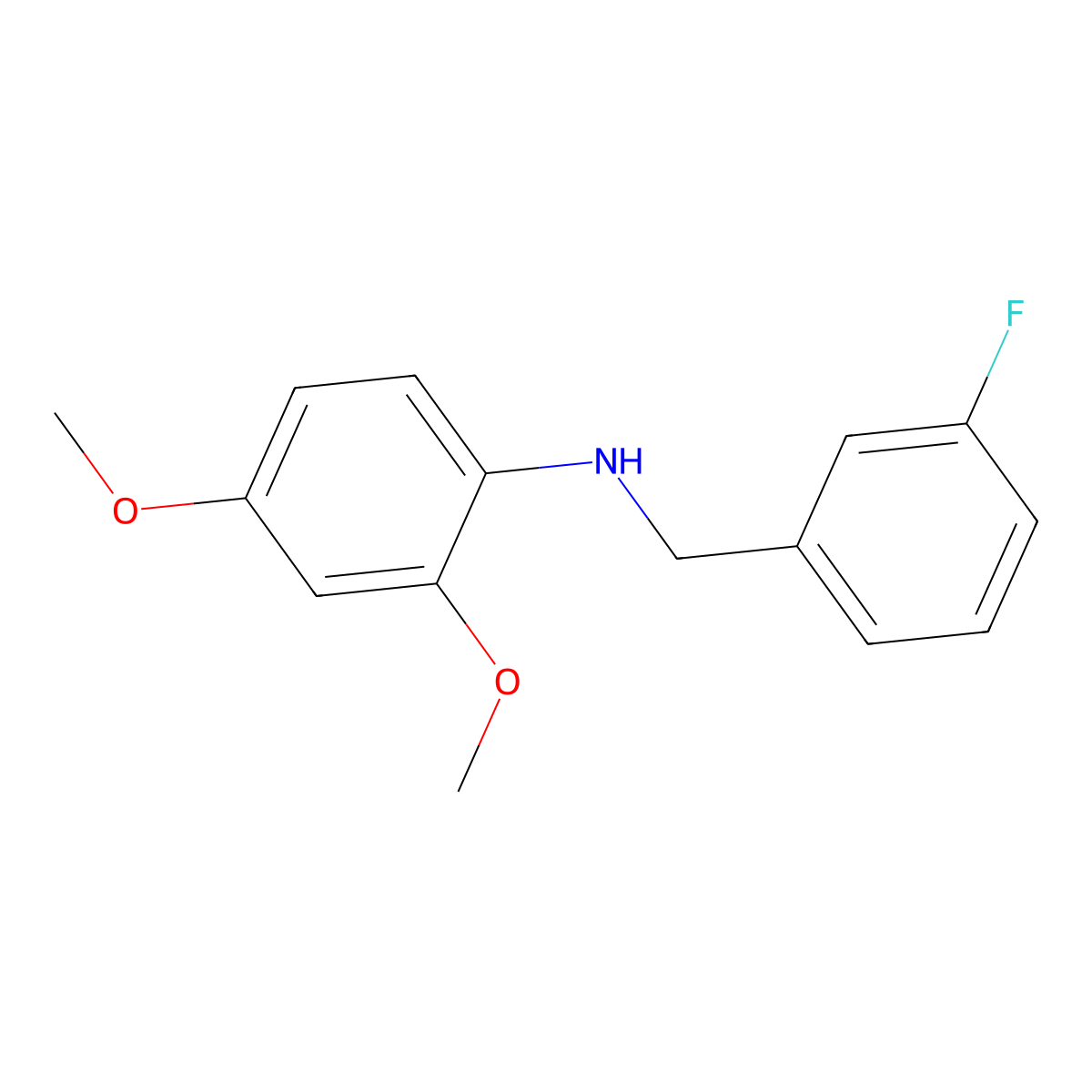 N-(3-Fluorobenzyl)-2,4-dimethoxyaniline molecular structure, CAS 1021092-55-6