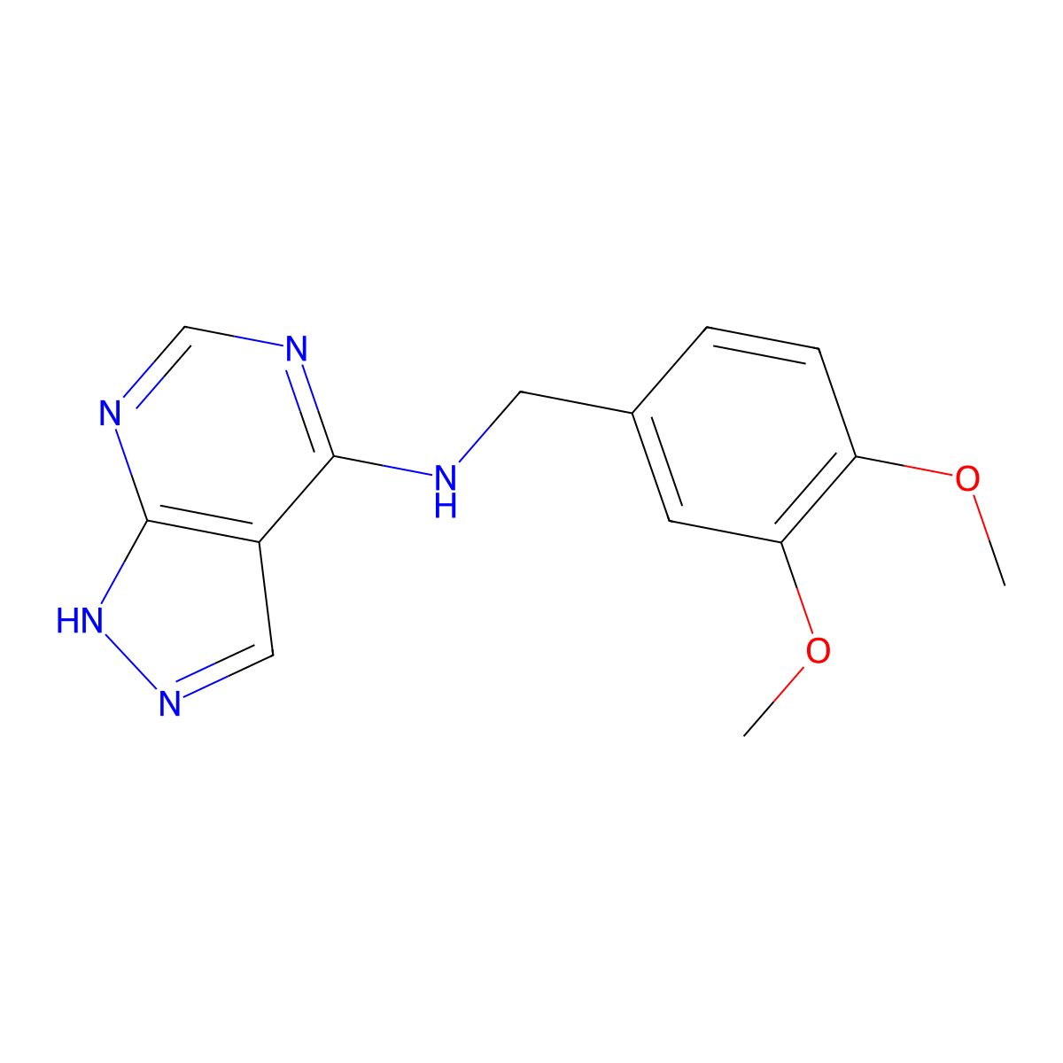 N-(3,4-dimethoxybenzyl)-1H-pyrazolo[3,4-d]pyrimidin-4-amine molecular structure, CAS 1021093-13-9
