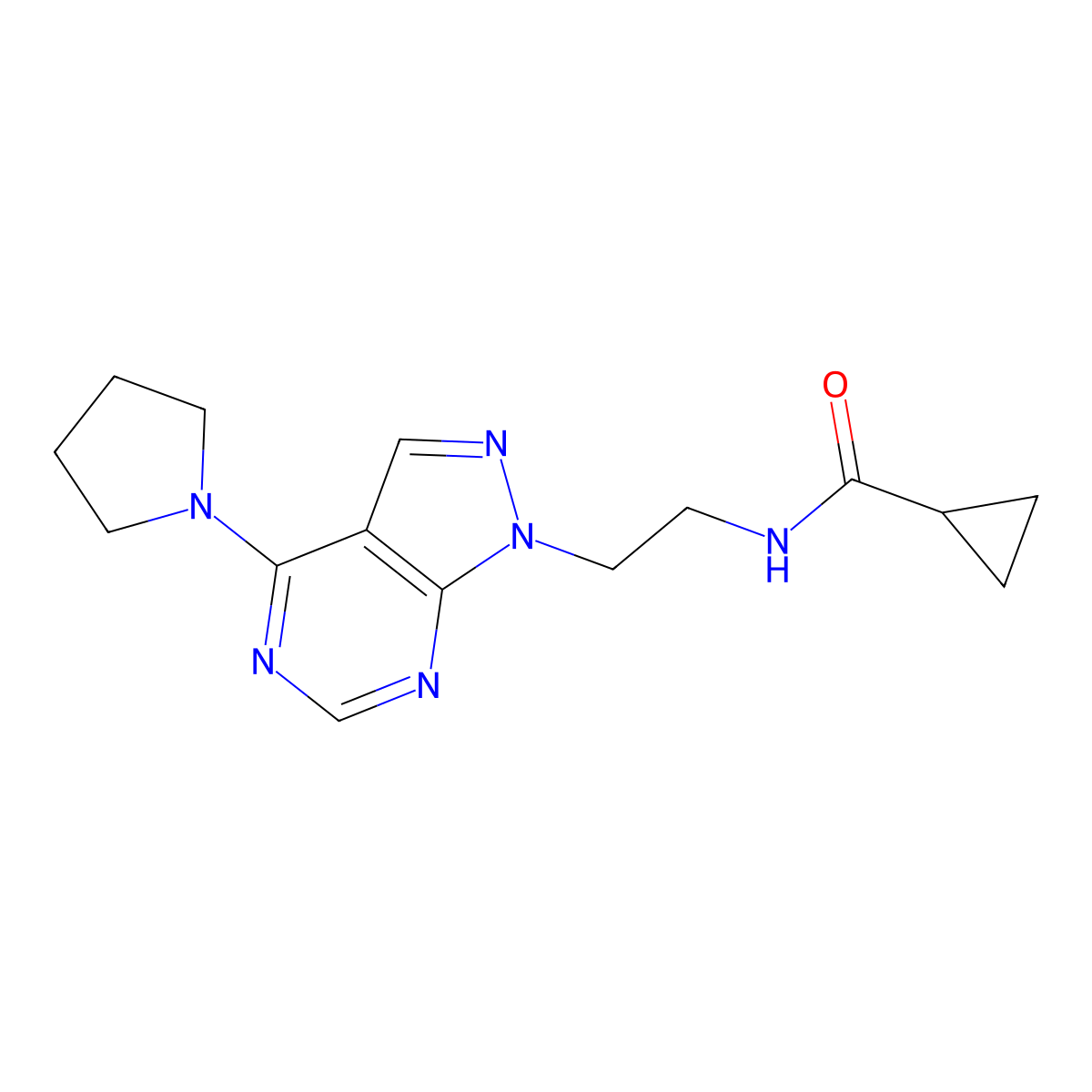 N-(2-(4-(pyrrolidin-1-yl)-1H-pyrazolo[3,4-d]pyrimidin-1-yl)ethyl)cyclopropanecarboxamide molecular structure, CAS 1021094-06-3