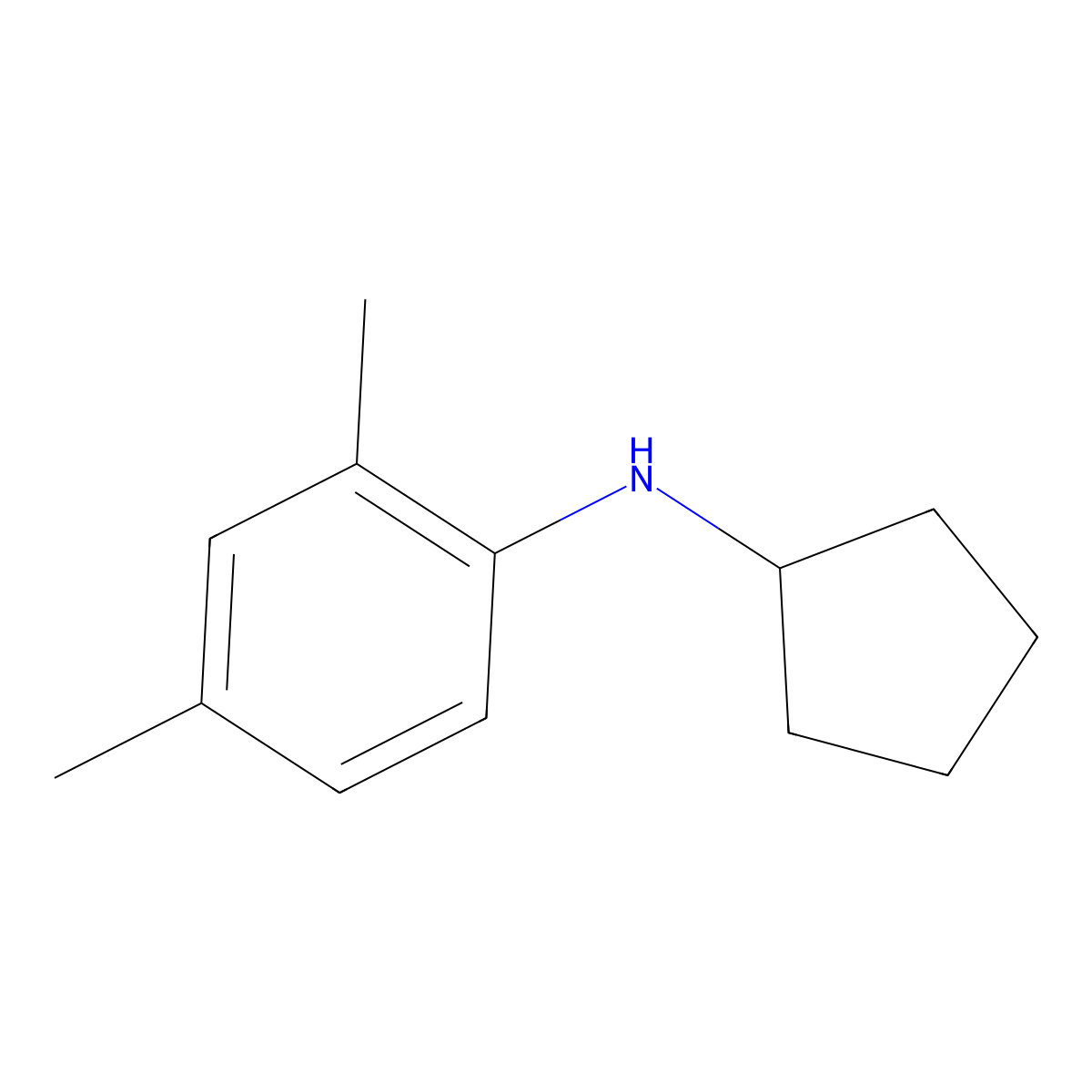 N-cyclopentyl-2,4-dimethylaniline molecular structure, CAS 1021106-99-9
