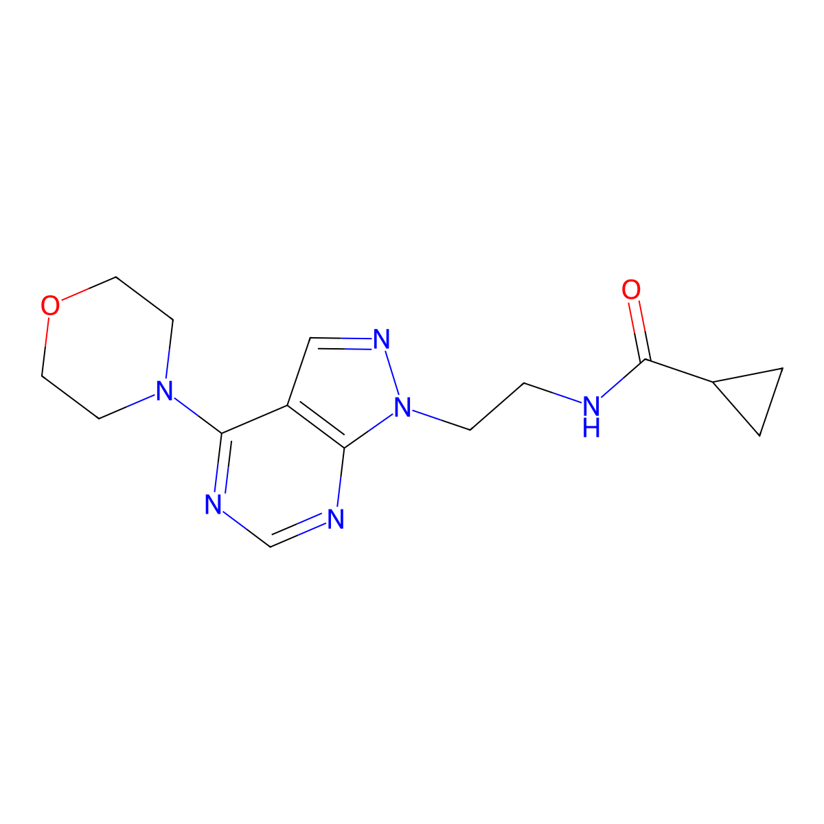 N-(2-(4-morpholino-1H-pyrazolo[3,4-d]pyrimidin-1-yl)ethyl)cyclopropanecarboxamide molecular structure, CAS 1021122-61-1
