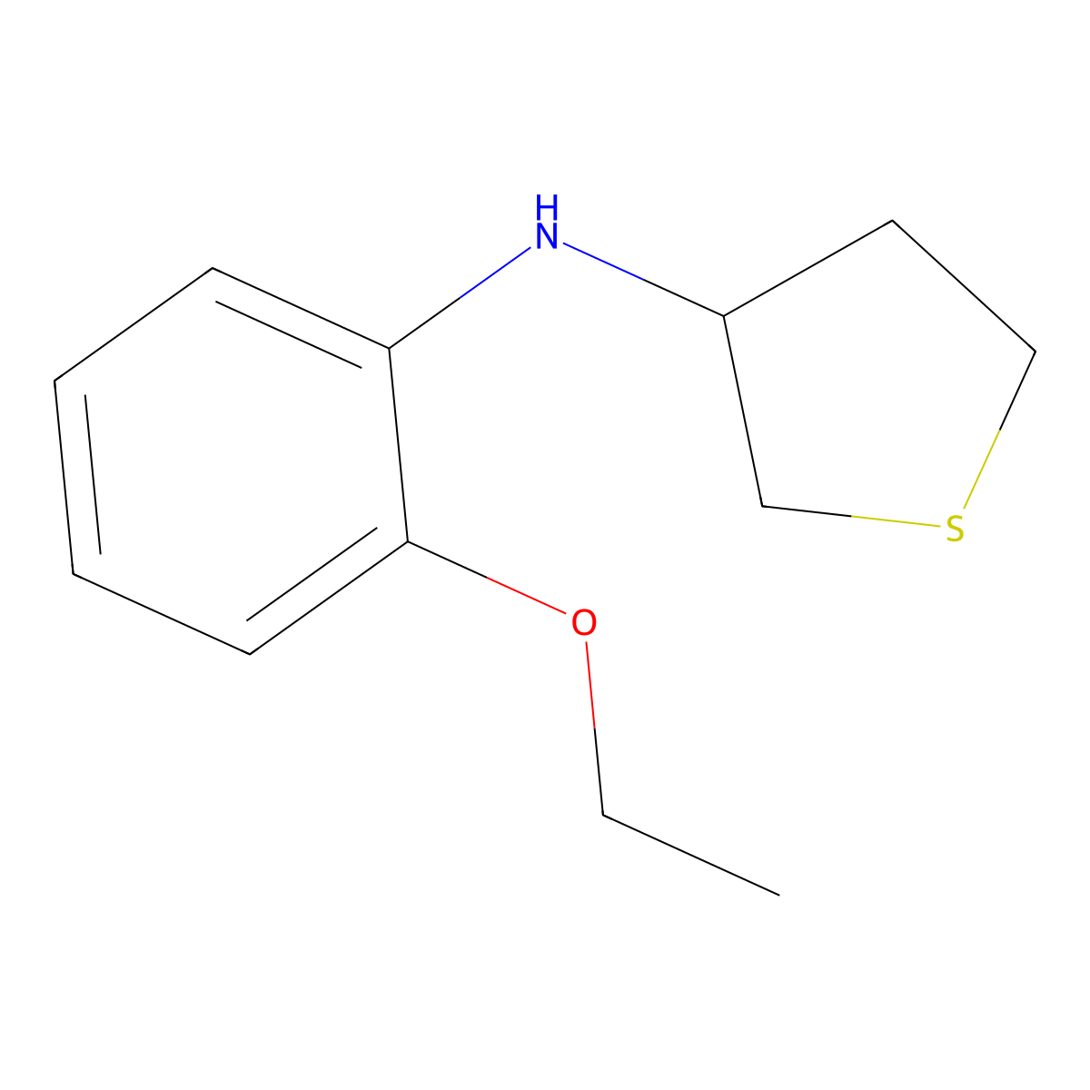 N-(2-ethoxyphenyl)thiolan-3-amine molecular structure, CAS 1021123-08-9
