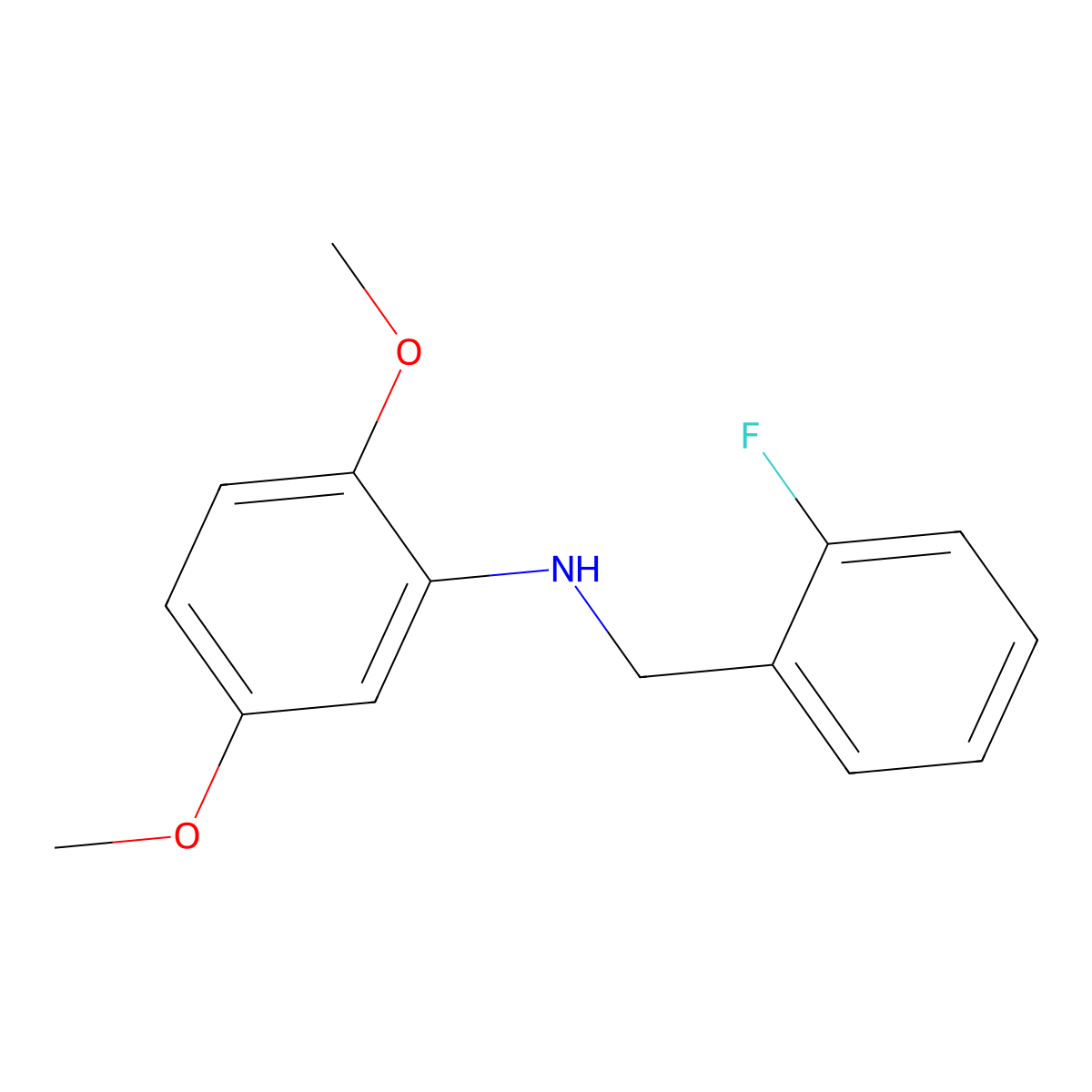 N-(2-Fluorobenzyl)-2,5-dimethoxyaniline molecular structure, CAS 1021124-41-3