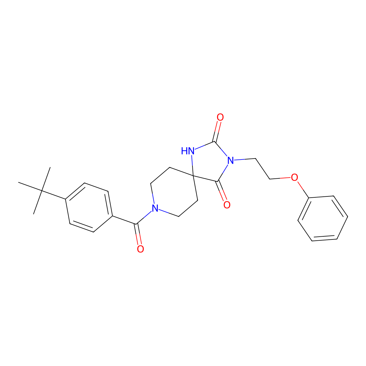 8-(4-(Tert-butyl)benzoyl)-3-(2-phenoxyethyl)-1,3,8-triazaspiro[4.5]decane-2,4-dione molecular structure, CAS 1021127-05-8