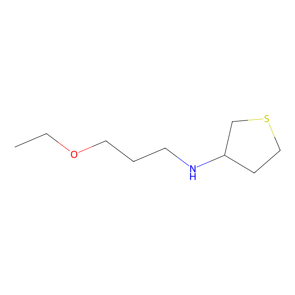 N-(3-ethoxypropyl)thiolan-3-amine molecular structure, CAS 1021129-10-1