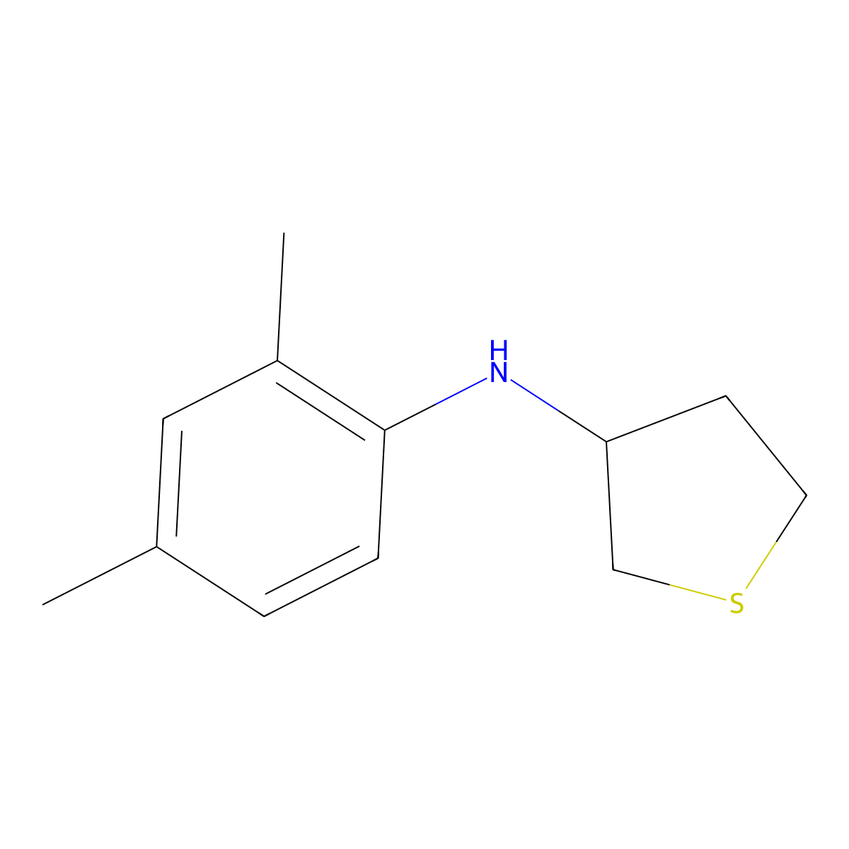 N-(2,4-dimethylphenyl)thiolan-3-amine molecular structure, CAS 1021136-03-7