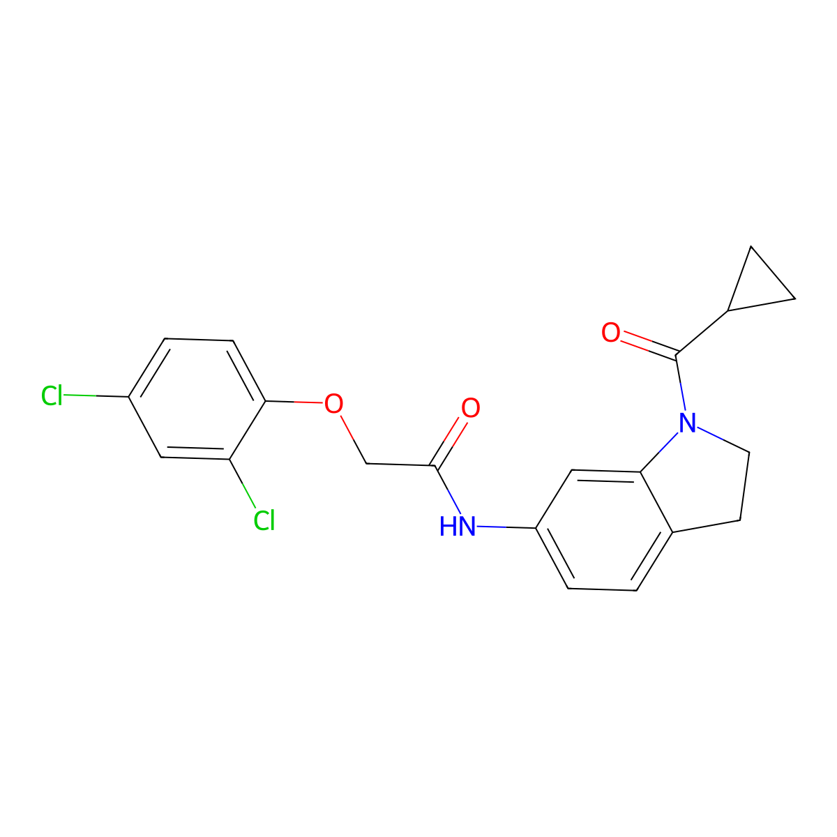 N-(1-cyclopropanecarbonyl-2,3-dihydro-1H-indol-6-yl)-2-(2,4-dichlorophenoxy)acetamide molecular structure, CAS 1021207-93-1