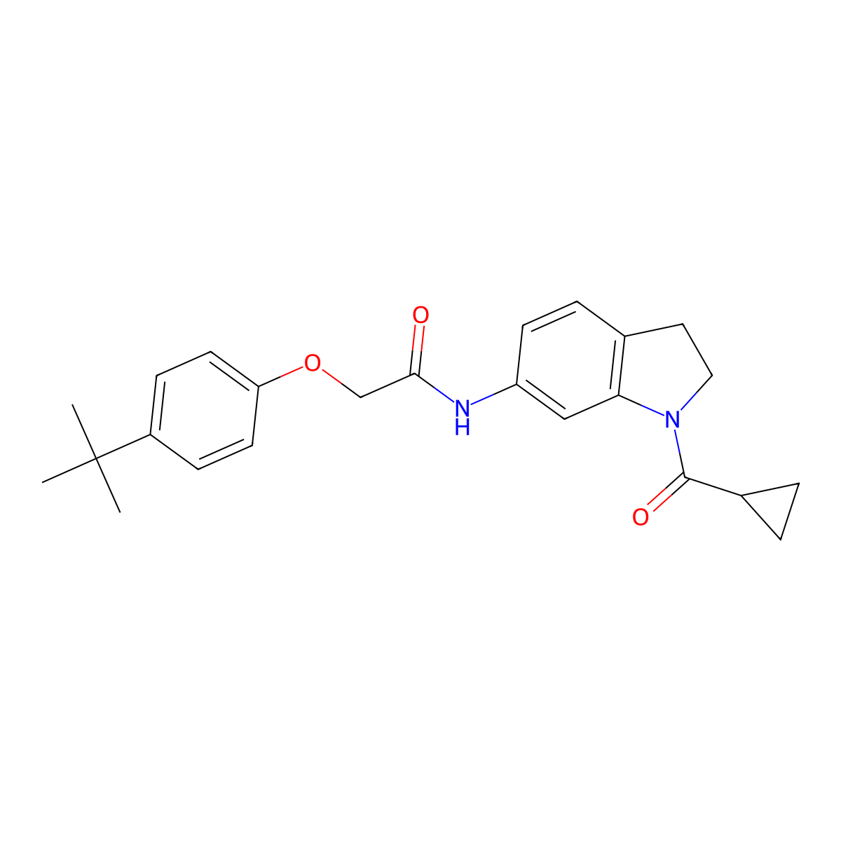 2-(4-(tert-butyl)phenoxy)-N-(1-(cyclopropanecarbonyl)indolin-6-yl)acetamide molecular structure, CAS 1021209-72-2