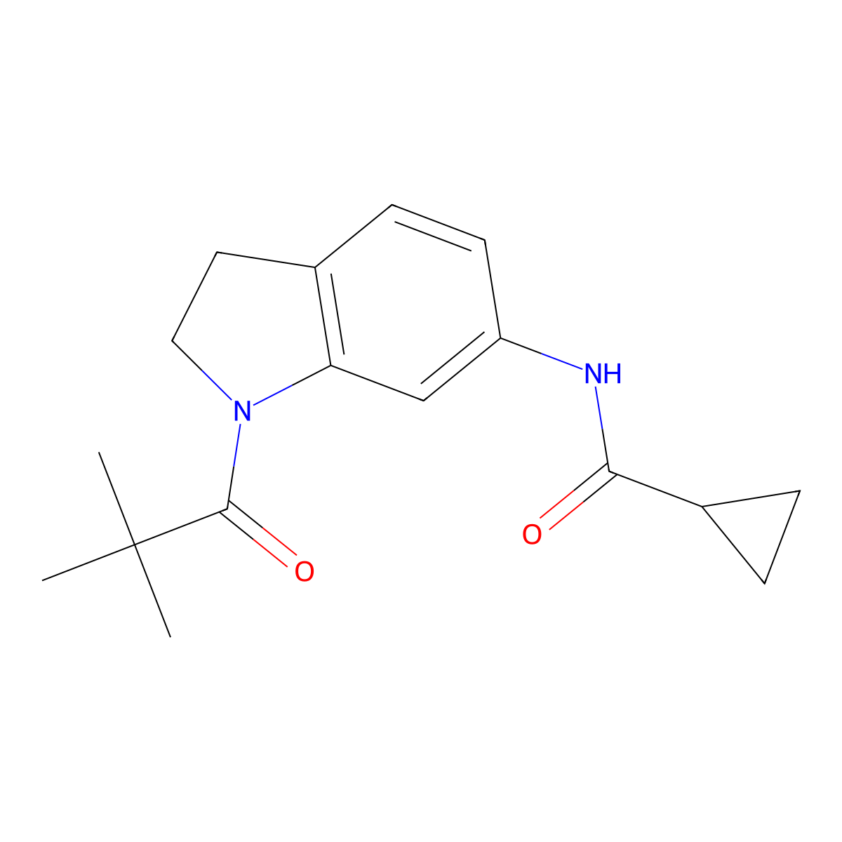 N-[1-(2,2-dimethylpropanoyl)-2,3-dihydro-1H-indol-6-yl]cyclopropanecarboxamide molecular structure, CAS 1021221-36-2
