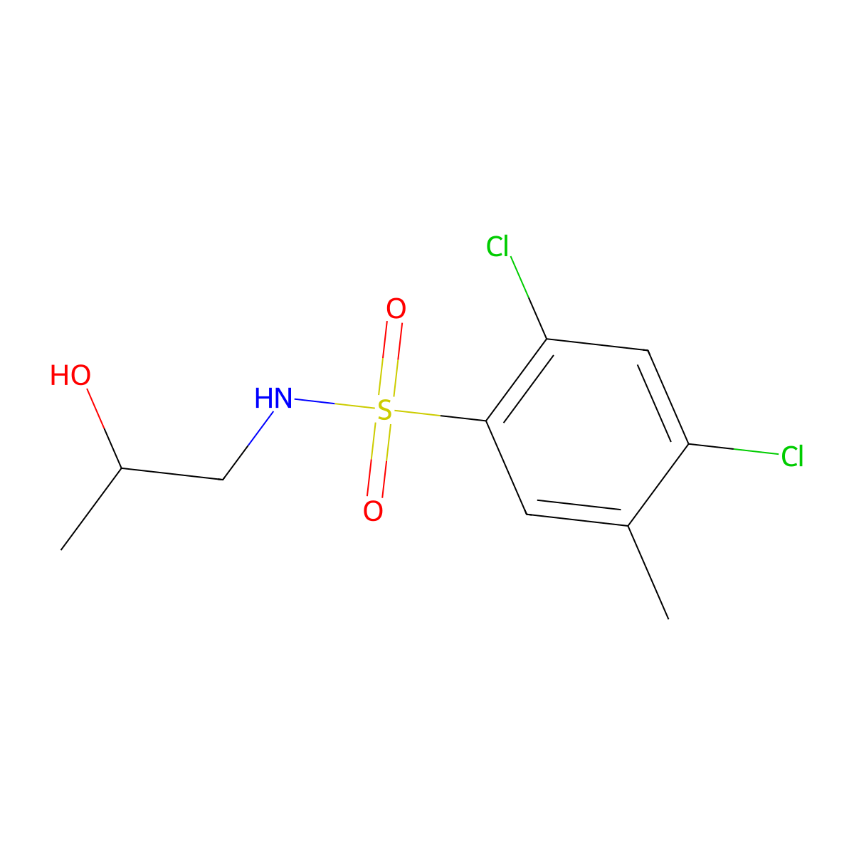 2,4-dichloro-N-(2-hydroxypropyl)-5-methylbenzenesulfonamide molecular structure, CAS 1022584-66-2