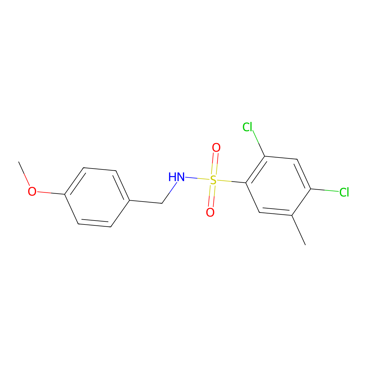 2,4-dichloro-N-(4-methoxybenzyl)-5-methylbenzenesulfonamide molecular structure, CAS 1022723-71-2