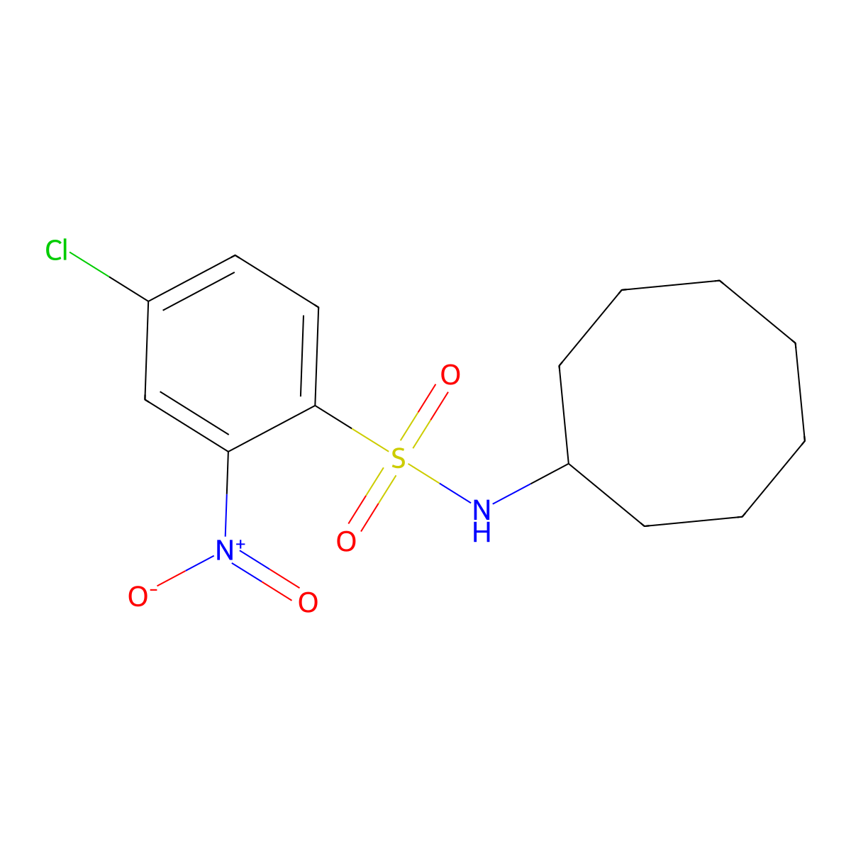 ((4-Chloro-2-nitrophenyl)sulfonyl)cyclooctylamine molecular structure, CAS 1022883-54-0
