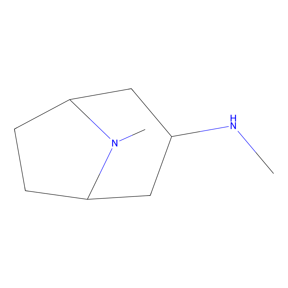 N,8-dimethyl-8-azabicyclo[3.2.1]octan-3-amine molecular structure, CAS 102312-28-7