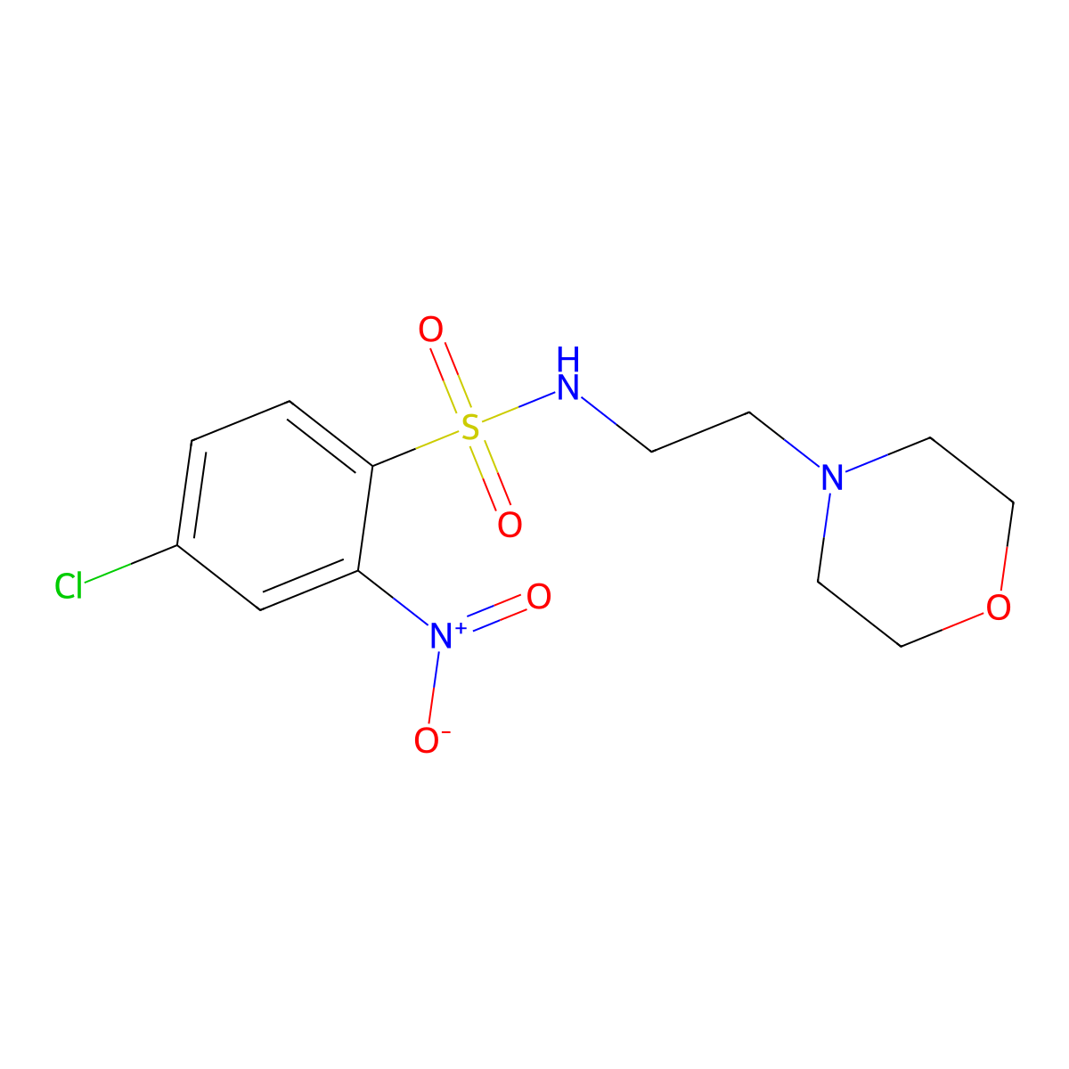 4-chloro-N-(2-morpholin-4-ylethyl)-2-nitrobenzenesulfonamide molecular structure, CAS 1023590-18-2