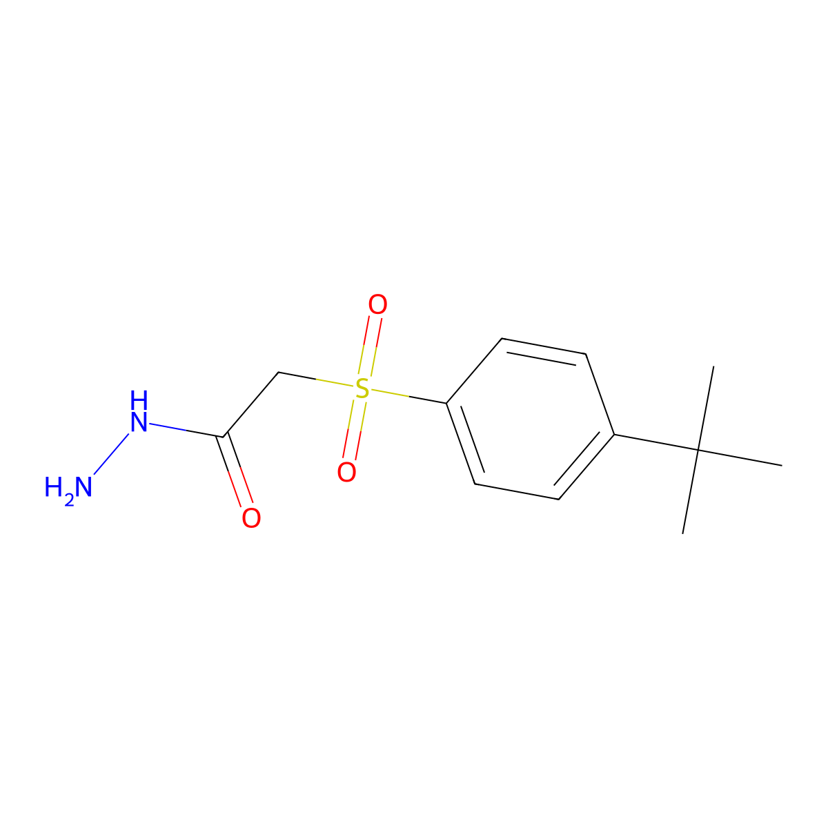 N-Amino-2-((4-(tert-butyl)phenyl)sulfonyl)ethanamide molecular structure, CAS 1024081-75-1