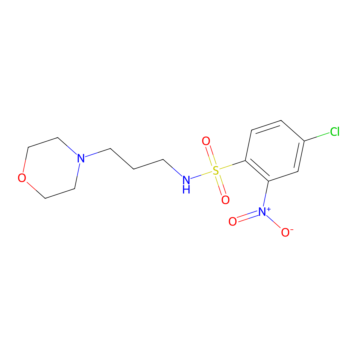 ((4-Chloro-2-nitrophenyl)sulfonyl)(3-morpholin-4-ylpropyl)amine molecular structure, CAS 1024287-70-4