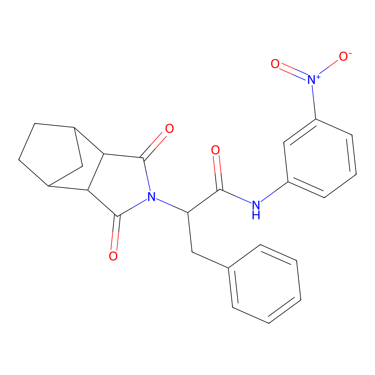 2-(1,3-dioxooctahydro-2H-4,7-methanoisoindol-2-yl)-N-(3-nitrophenyl)-3-phenylpropanamide molecular structure, CAS 1025725-19-2
