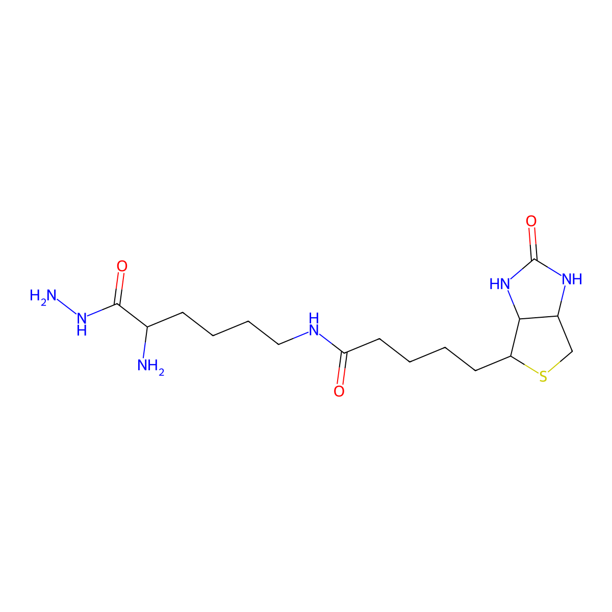Biocytin hydrazide molecular structure, CAS 102743-85-1