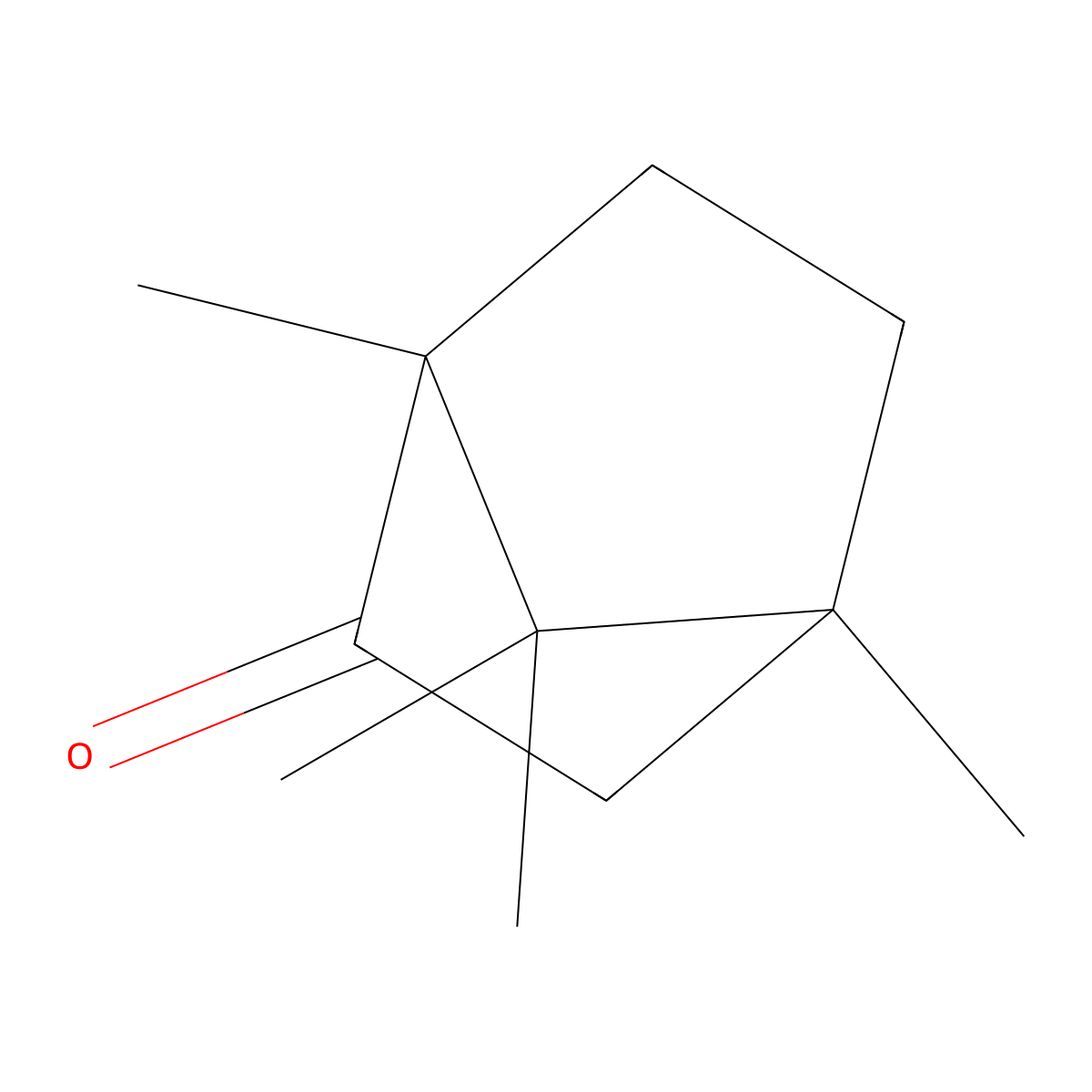 4-Methylcamphor molecular structure, CAS 10309-50-9