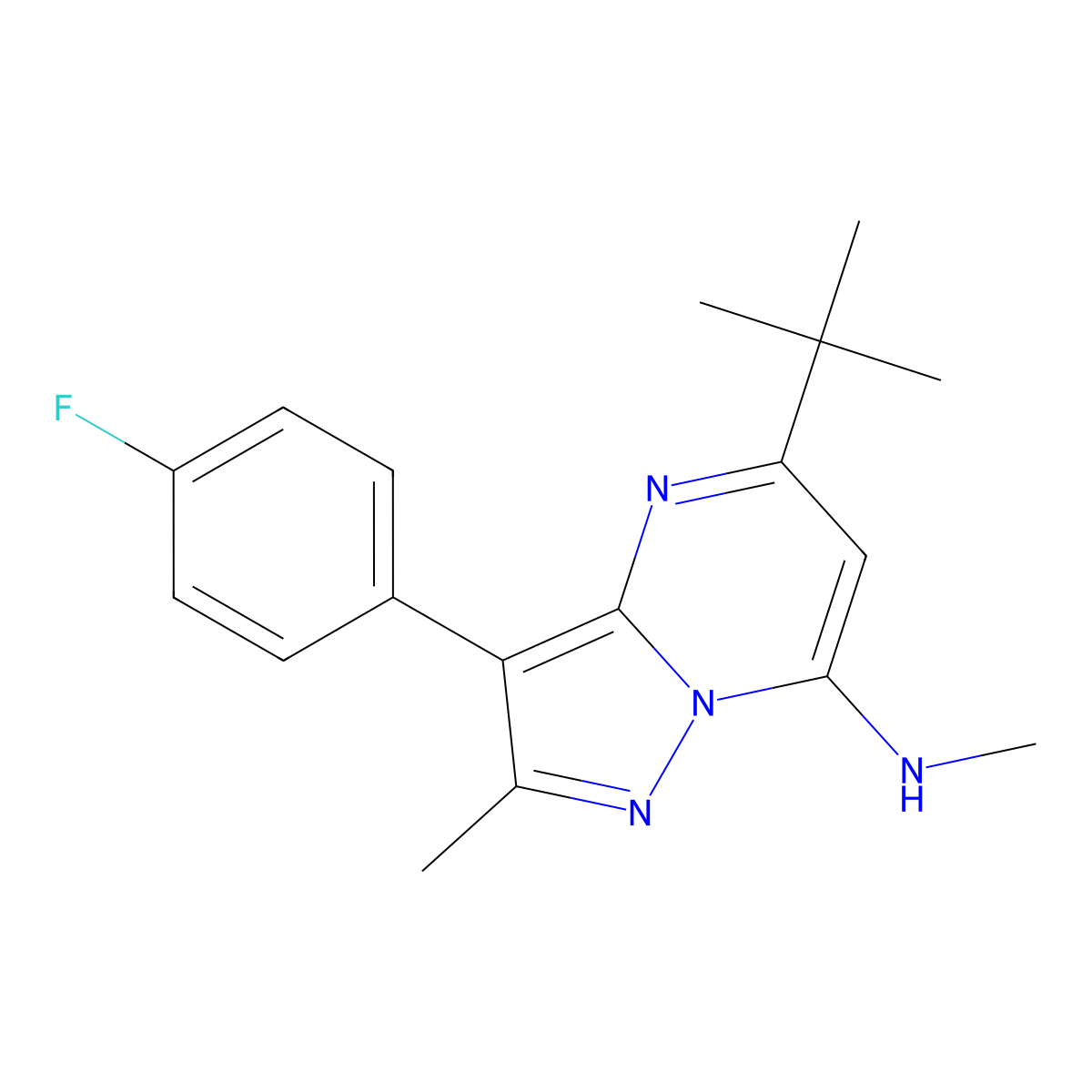 5-tert-butyl-3-(4-fluorophenyl)-N,2-dimethylpyrazolo[1,5-a]pyrimidin-7-amine molecular structure, CAS 1031599-29-7