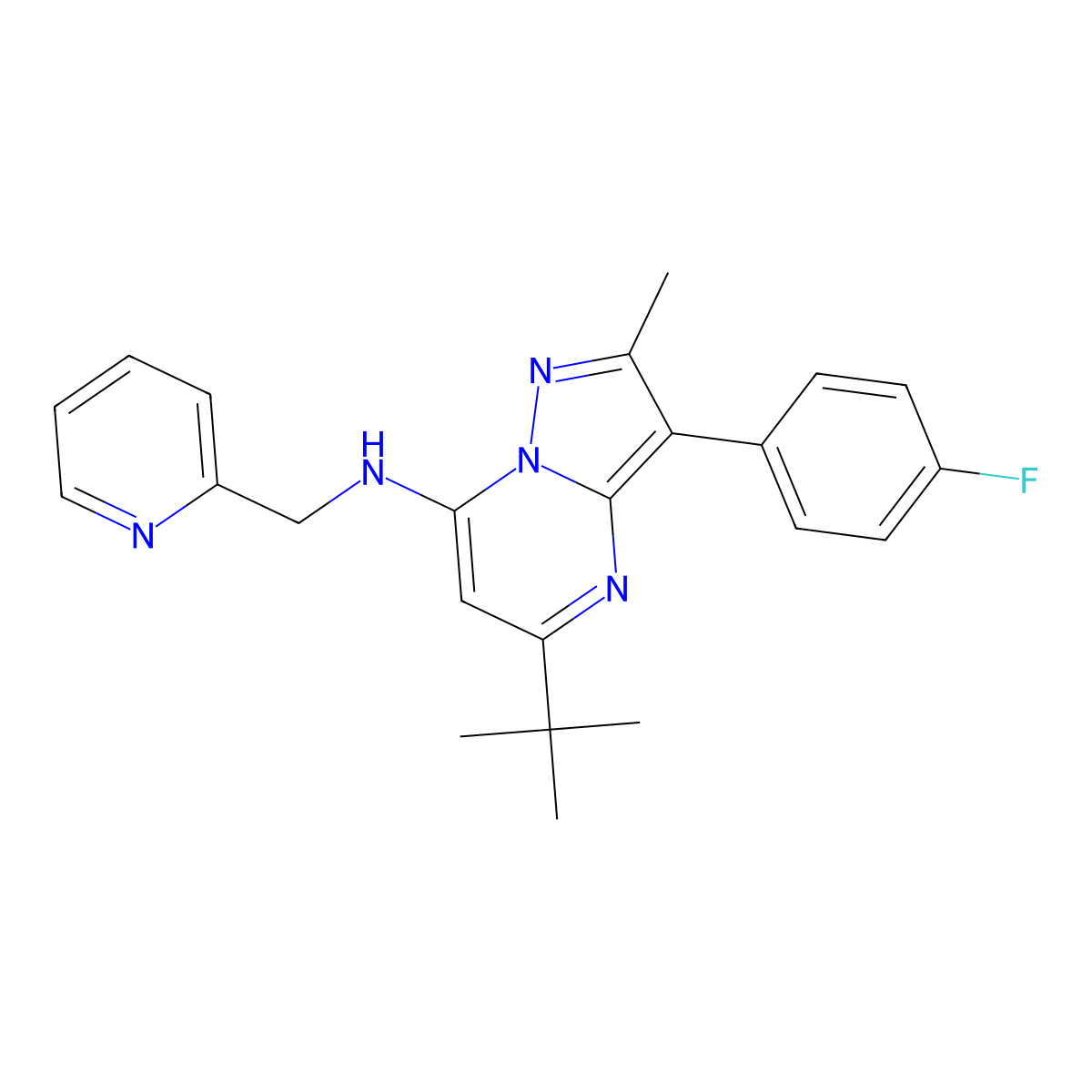 5-tert-butyl-3-(4-fluorophenyl)-2-methyl-N-(pyridin-2-ylmethyl)pyrazolo[1,5-a]pyrimidin-7-amine molecular structure, CAS 1031599-32-2