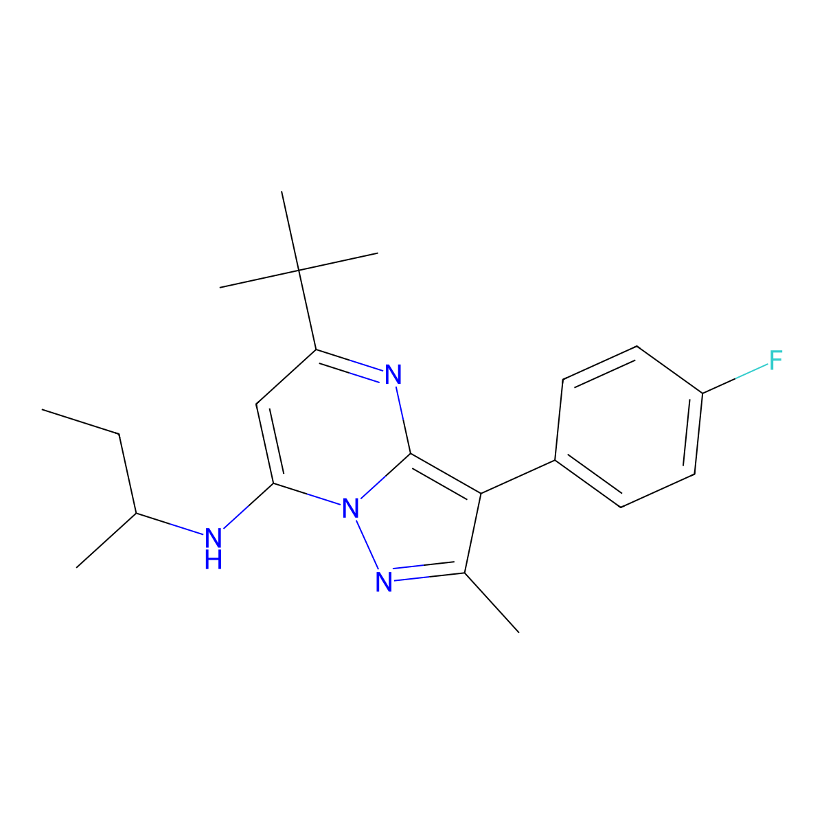 N-(butan-2-yl)-5-tert-butyl-3-(4-fluorophenyl)-2-methylpyrazolo[1,5-a]pyrimidin-7-amine molecular structure, CAS 1031599-35-5