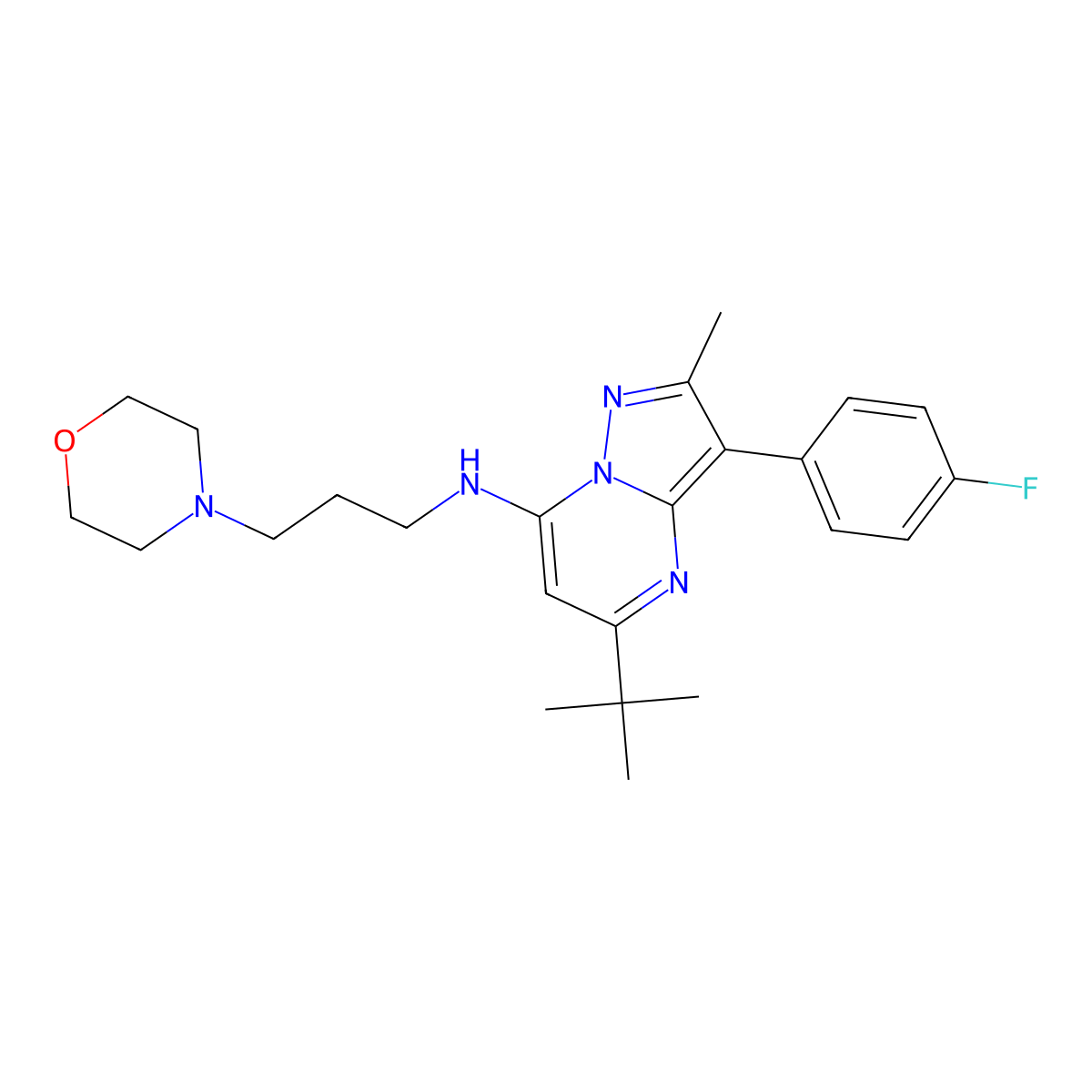 5-tert-butyl-3-(4-fluorophenyl)-2-methyl-N-[3-(morpholin-4-yl)propyl]pyrazolo[1,5-a]pyrimidin-7-amine molecular structure, CAS 1031627-81-2
