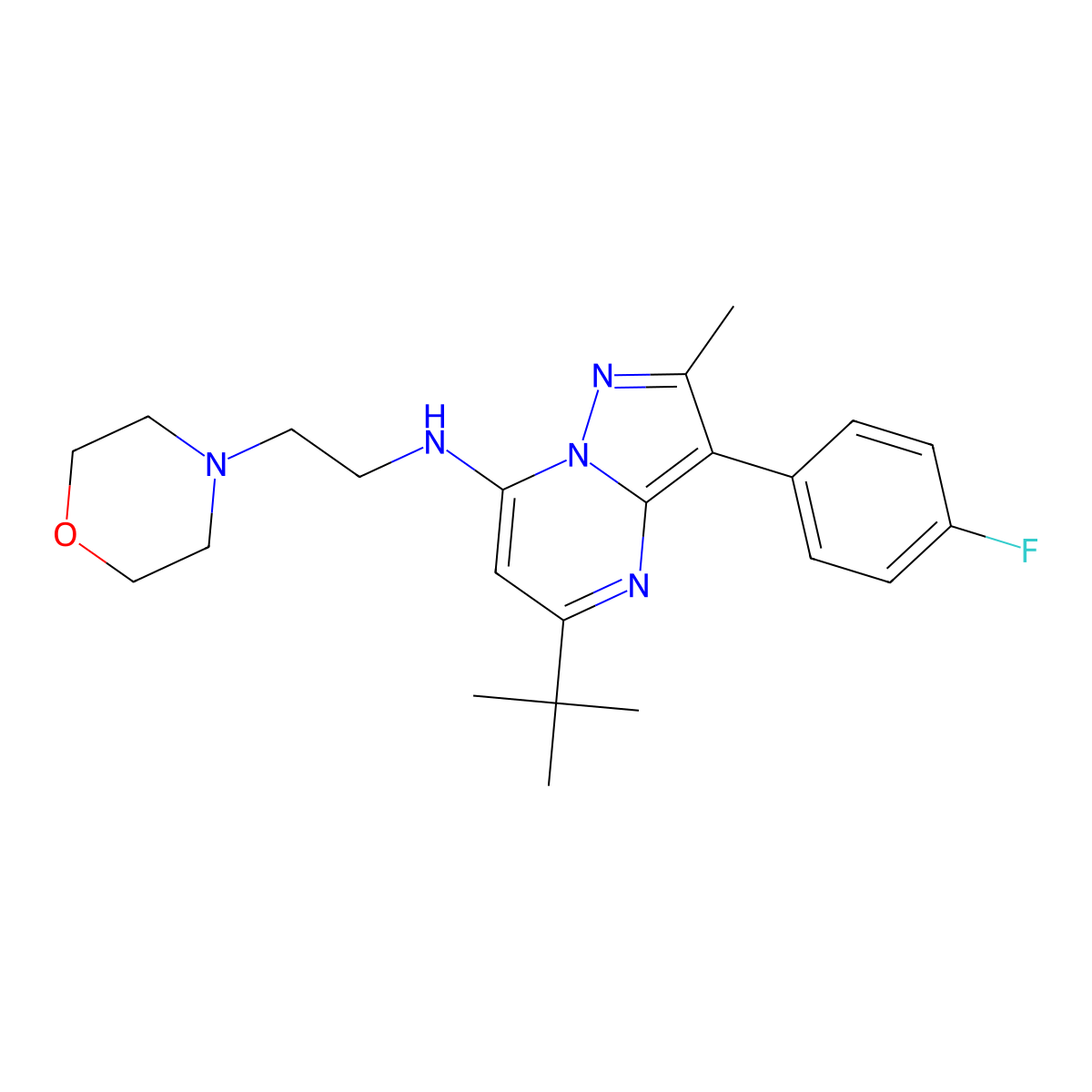 5-tert-butyl-3-(4-fluorophenyl)-2-methyl-N-[2-(morpholin-4-yl)ethyl]pyrazolo[1,5-a]pyrimidin-7-amine molecular structure, CAS 1031654-79-1