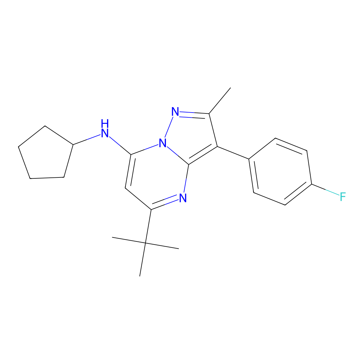 5-tert-butyl-N-cyclopentyl-3-(4-fluorophenyl)-2-methylpyrazolo[1,5-a]pyrimidin-7-amine molecular structure, CAS 1031654-82-6