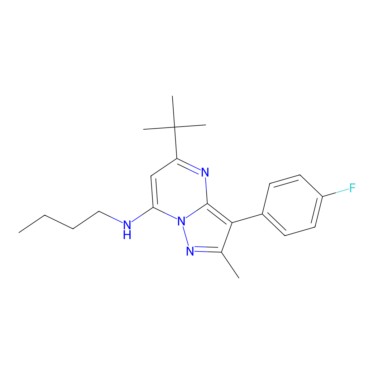 N-butyl-5-tert-butyl-3-(4-fluorophenyl)-2-methylpyrazolo[1,5-a]pyrimidin-7-amine molecular structure, CAS 1031937-70-8