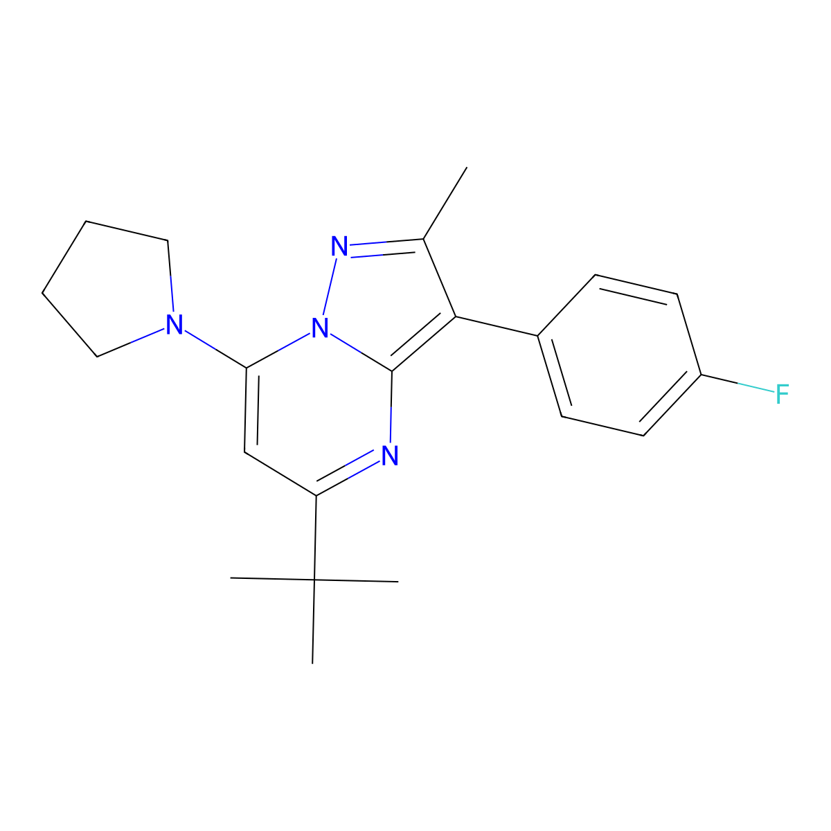 1-[5-Tert-butyl-3-(4-fluorophenyl)-2-methylpyrazolo[1,5-a]pyrimidin-7-yl]pyrrolidine molecular structure, CAS 1031937-74-2