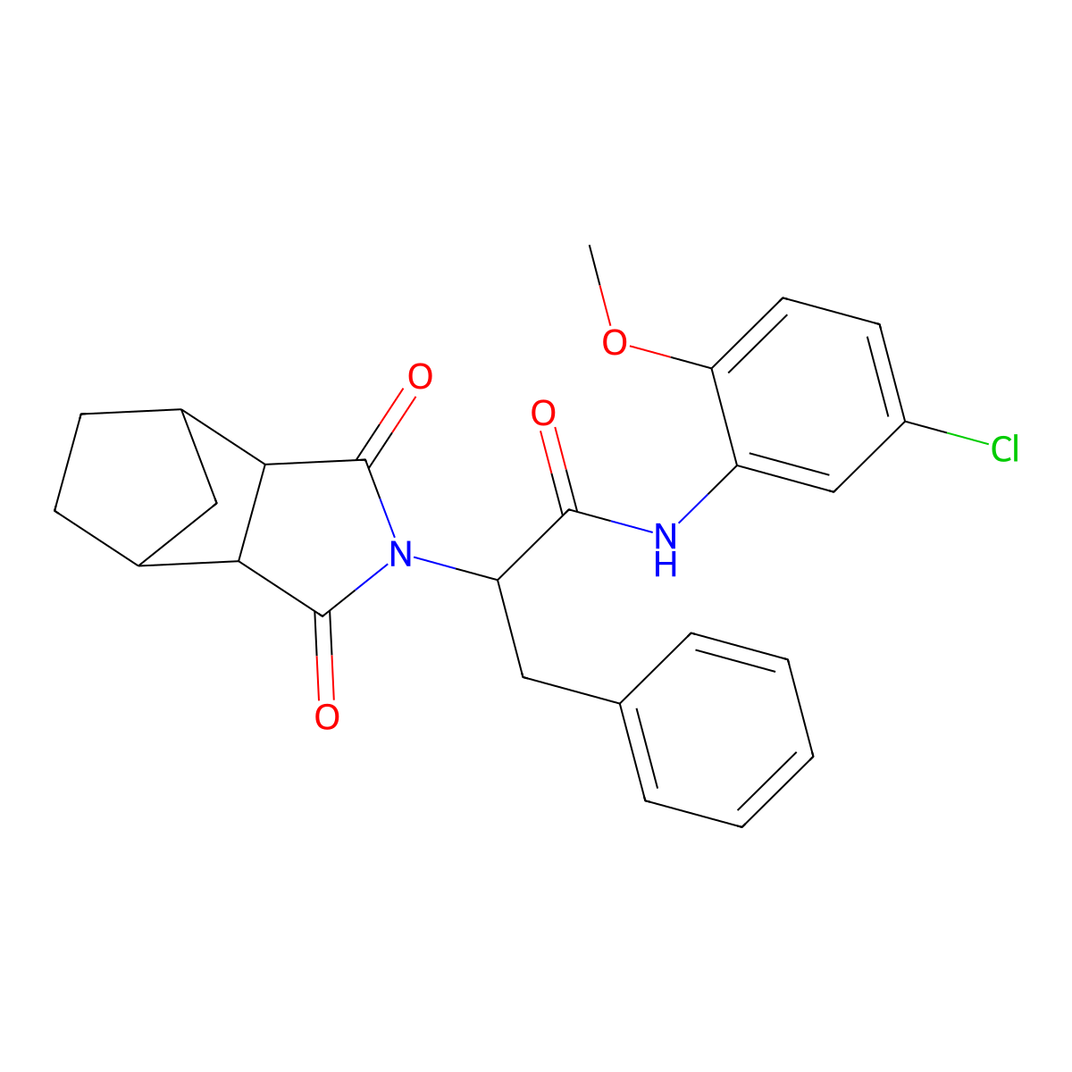 N-(5-chloro-2-methoxyphenyl)-2-(1,3-dioxooctahydro-2H-4,7-methanoisoindol-2-yl)-3-phenylpropanamide molecular structure, CAS 1033586-40-1