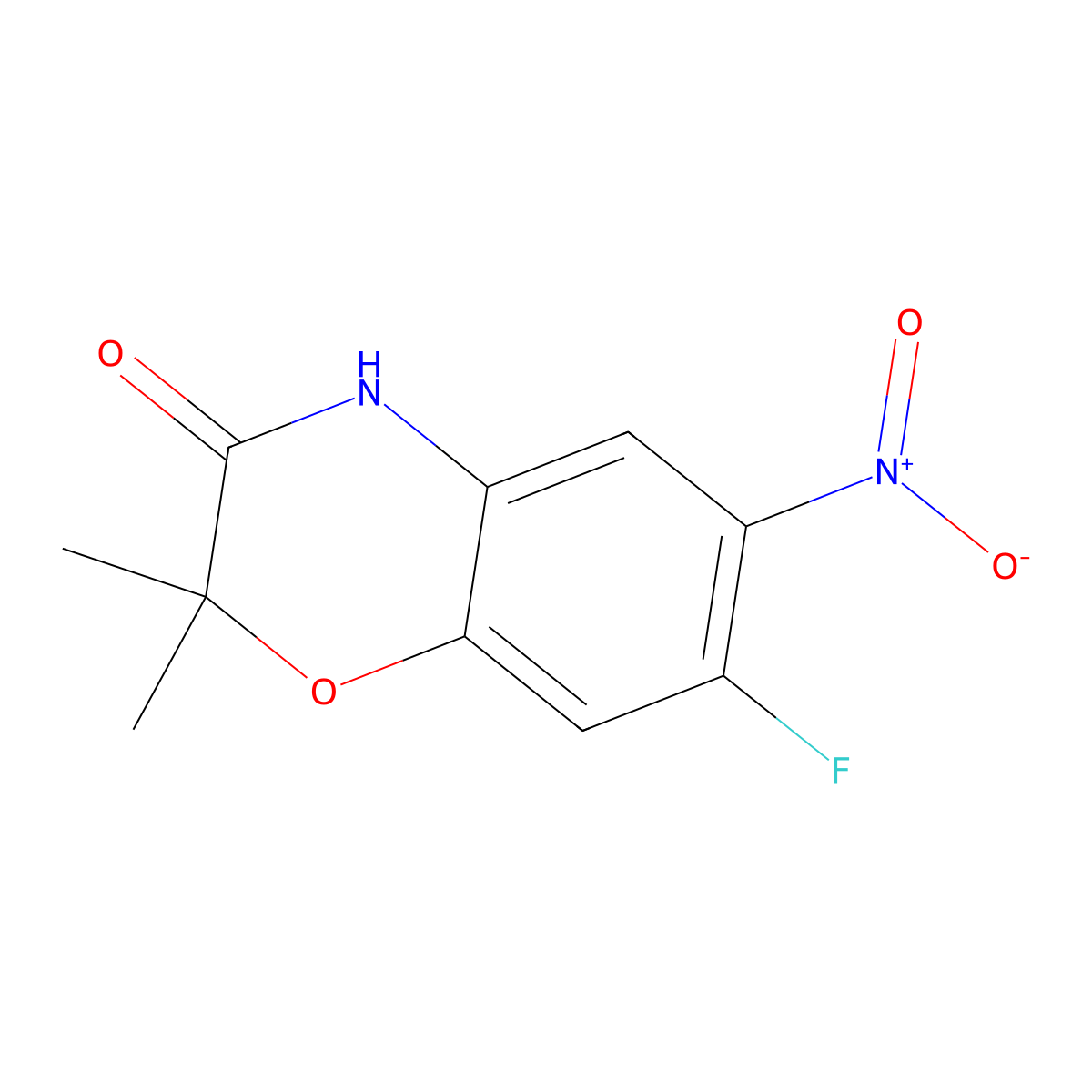 7-Fluoro-2,2-dimethyl-6-nitro-2H-benzo[B][1,4]oxazin-3(4H)-one molecular structure, CAS 103362-02-3