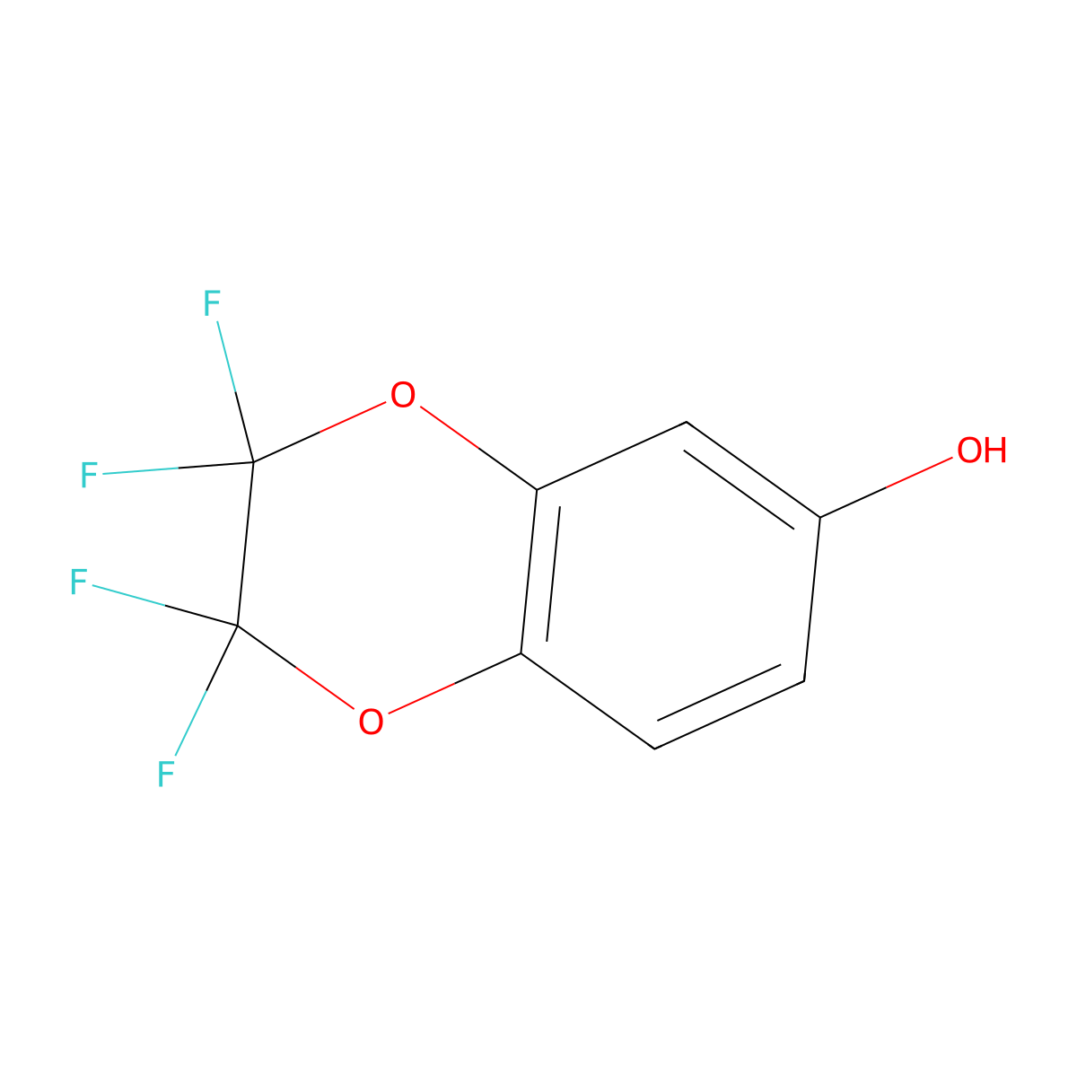6-Hydroxy-2,2,3,3-tetrafluoro-1,4-benzodioxane molecular structure, CAS 103467-50-1
